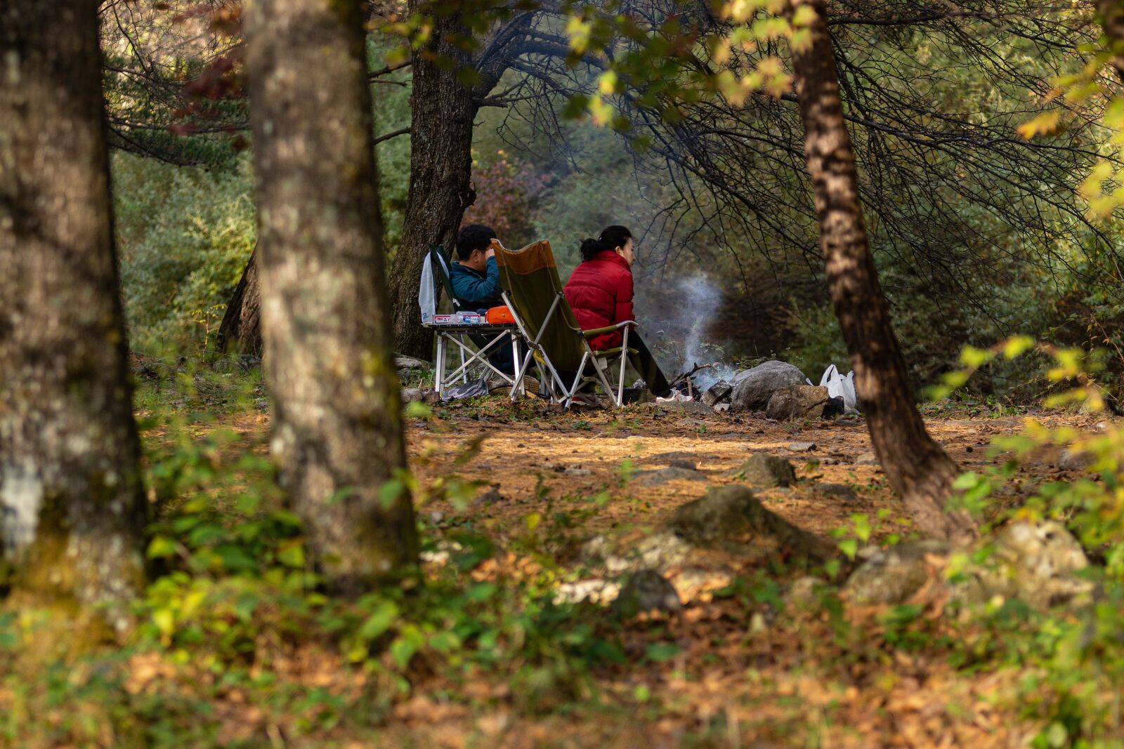 Sony SLT-A77 sample photo. Autumn, camping, camp fire photography