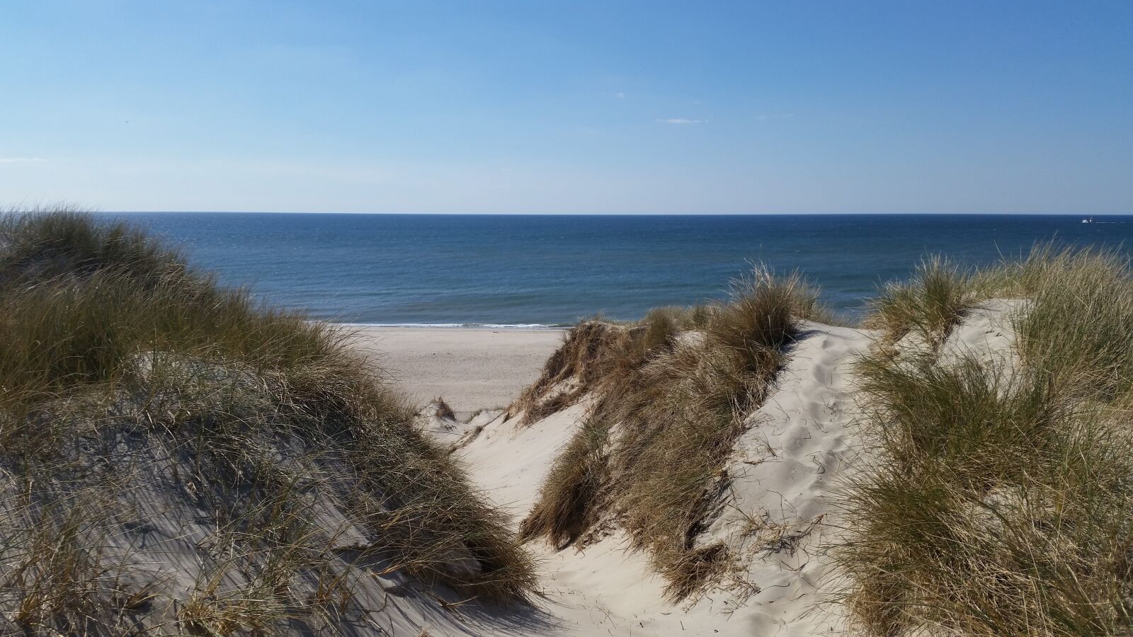Samsung Galaxy S5 sample photo. Denmark, beach, sea photography