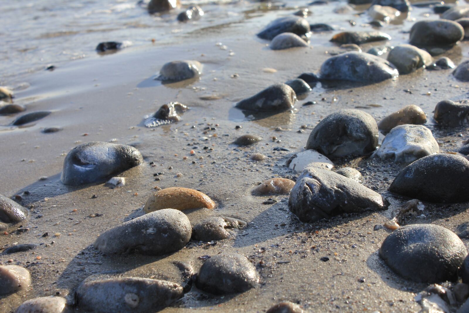 Canon EOS 550D (EOS Rebel T2i / EOS Kiss X4) sample photo. Beach, coastal, sea photography