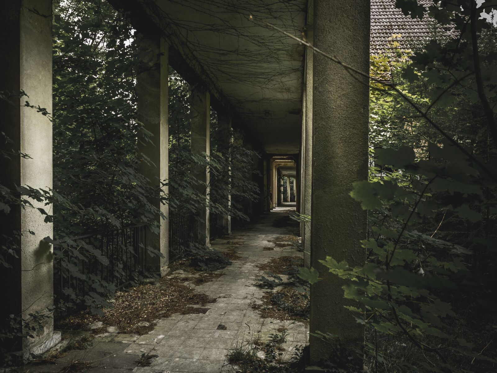 Olympus OM-D E-M1 + Olympus M.Zuiko Digital ED 12-40mm F2.8 Pro sample photo. Lost place, horror, abandoned photography