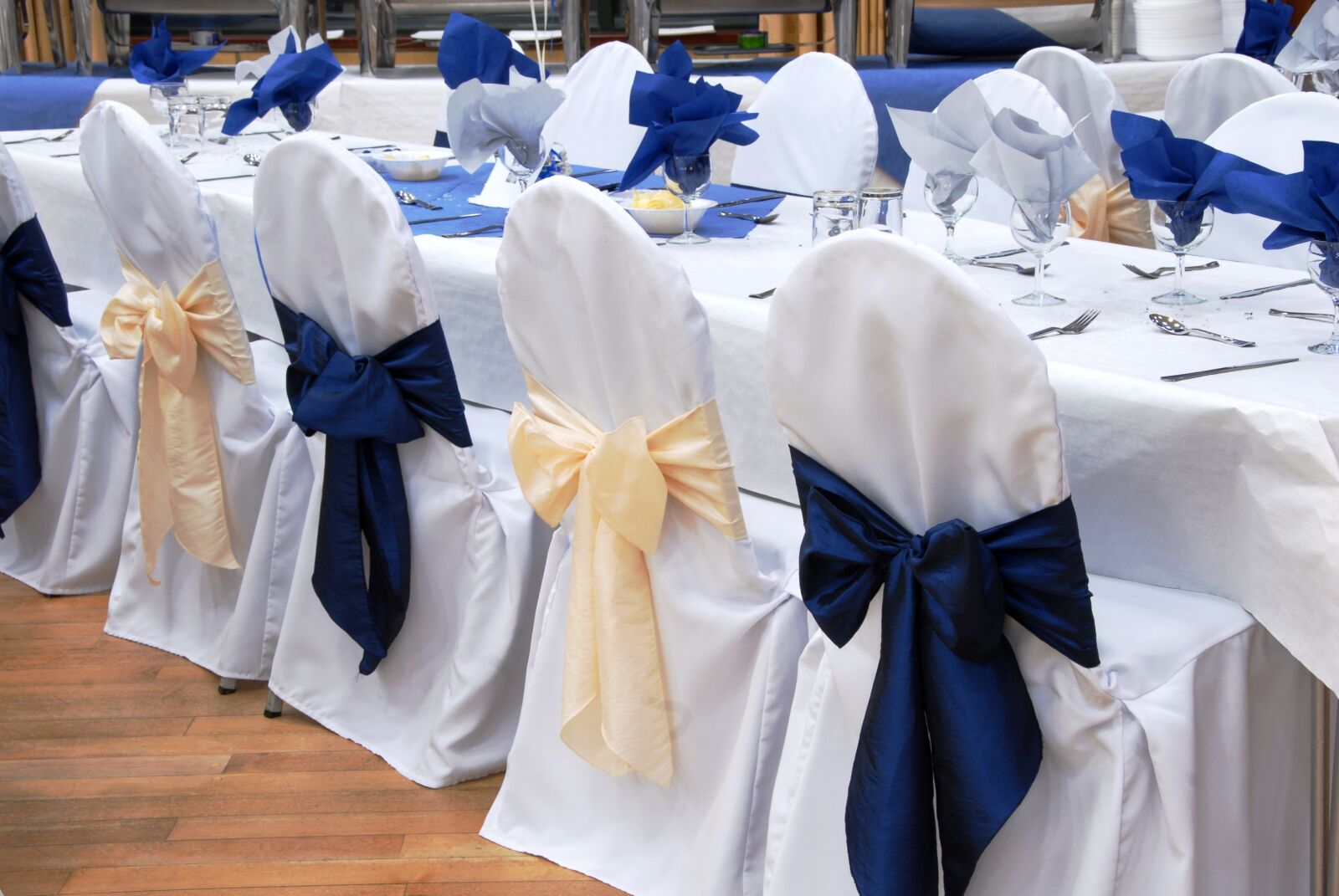 Nikon D200 sample photo. Wedding reception, chair, bow photography