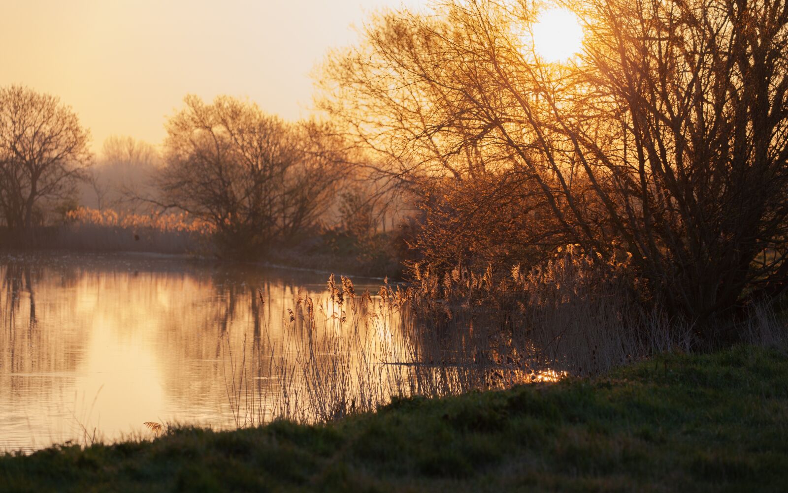 Canon EOS 5D Mark II sample photo. Sunrise, water, tree photography