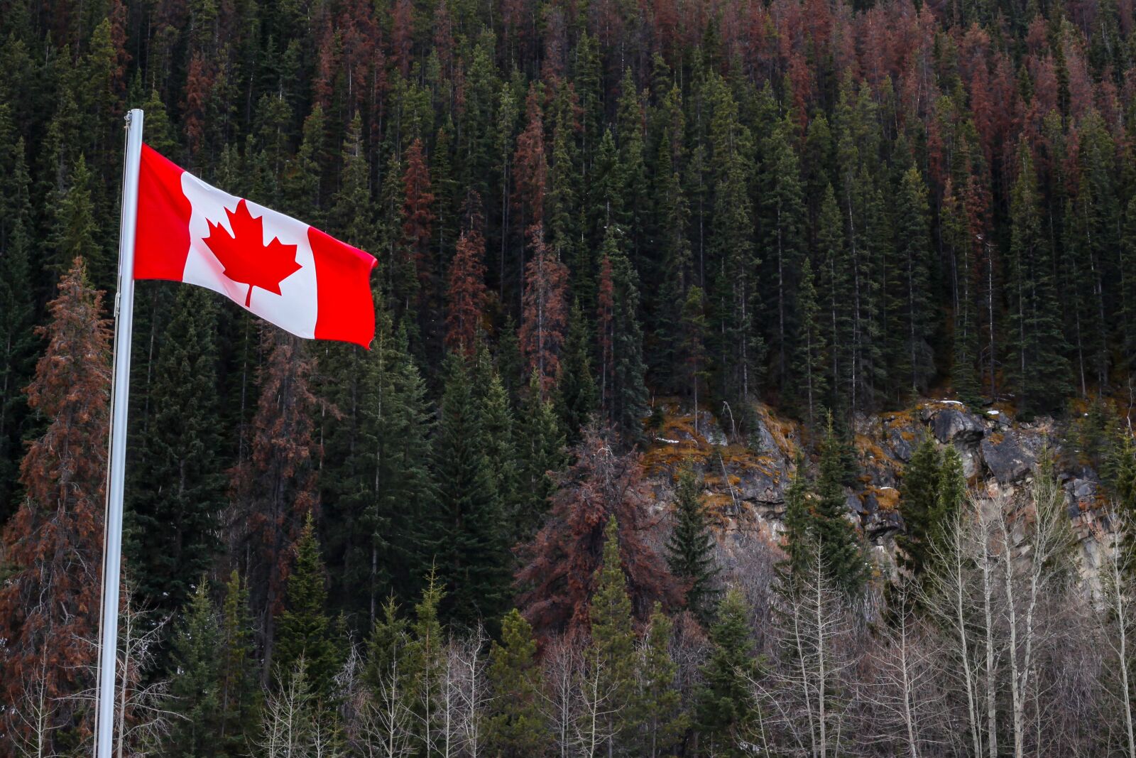 Canon EOS 5D Mark II sample photo. Flag, forests, canada photography