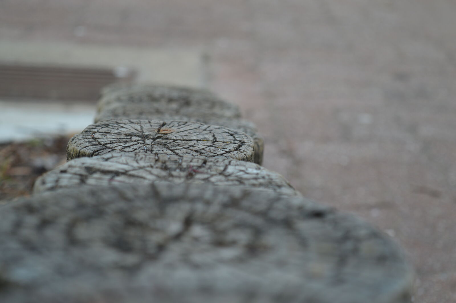 Nikon D3200 sample photo