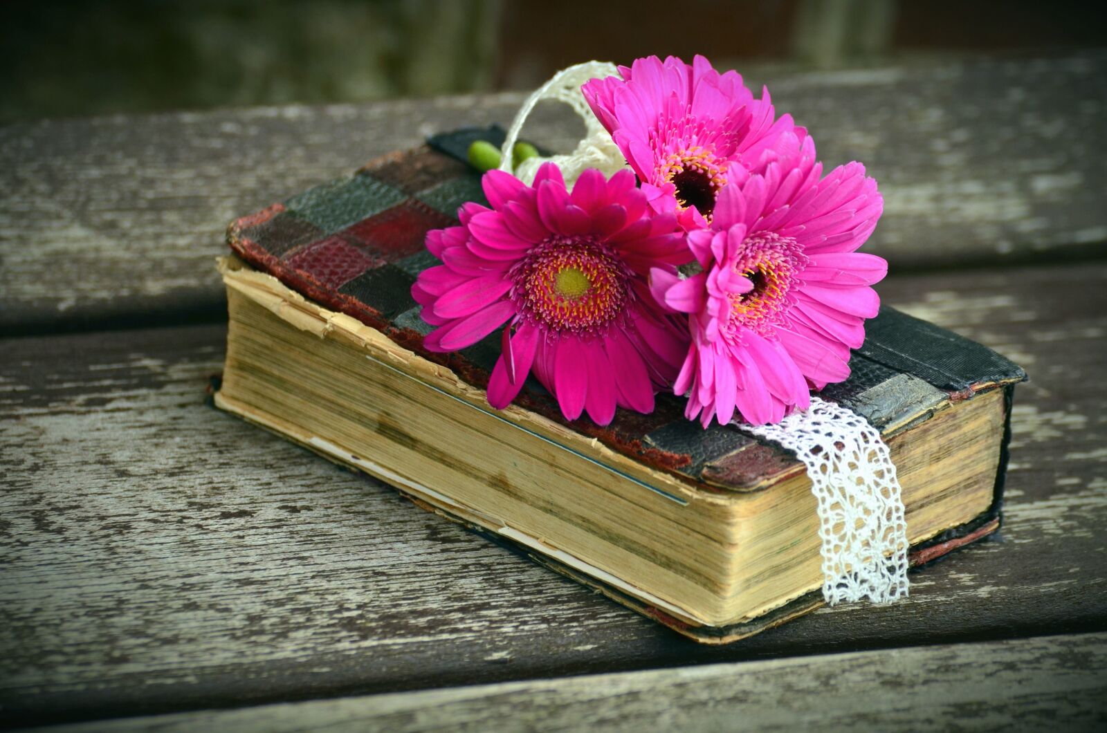 Nikon D5100 sample photo. Decoration, flower, pink flower photography