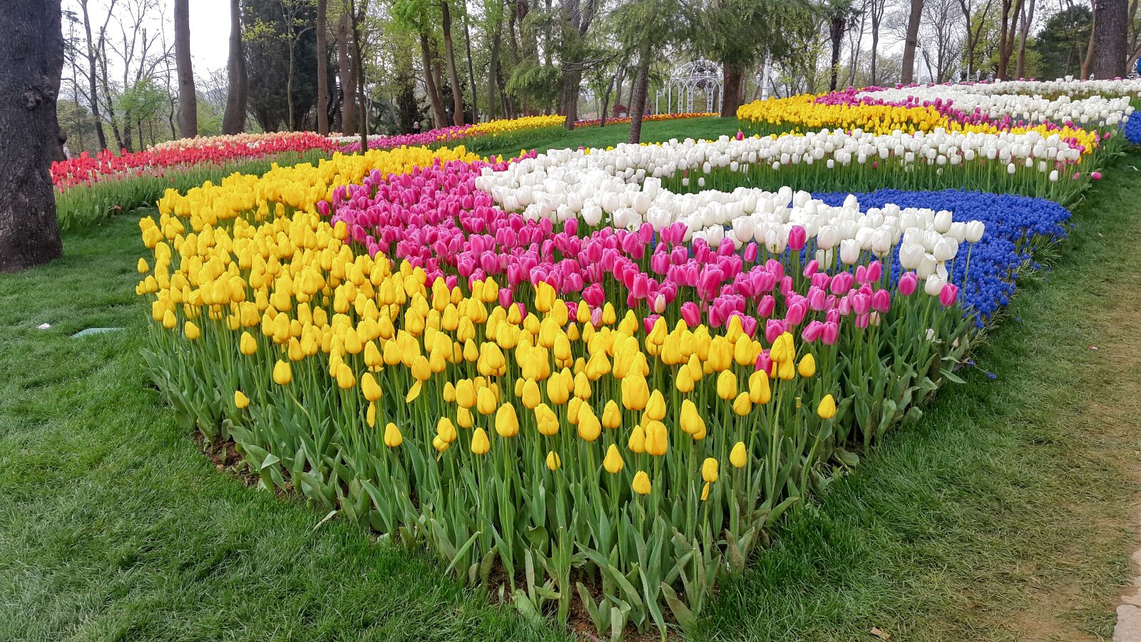 Samsung Galaxy S5 sample photo. Emirgan, park, garden photography