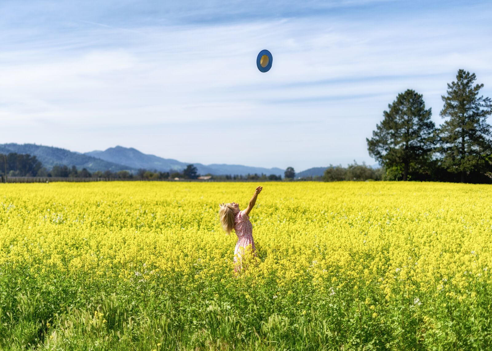 Sony a9 sample photo. Field, nature, landscape photography