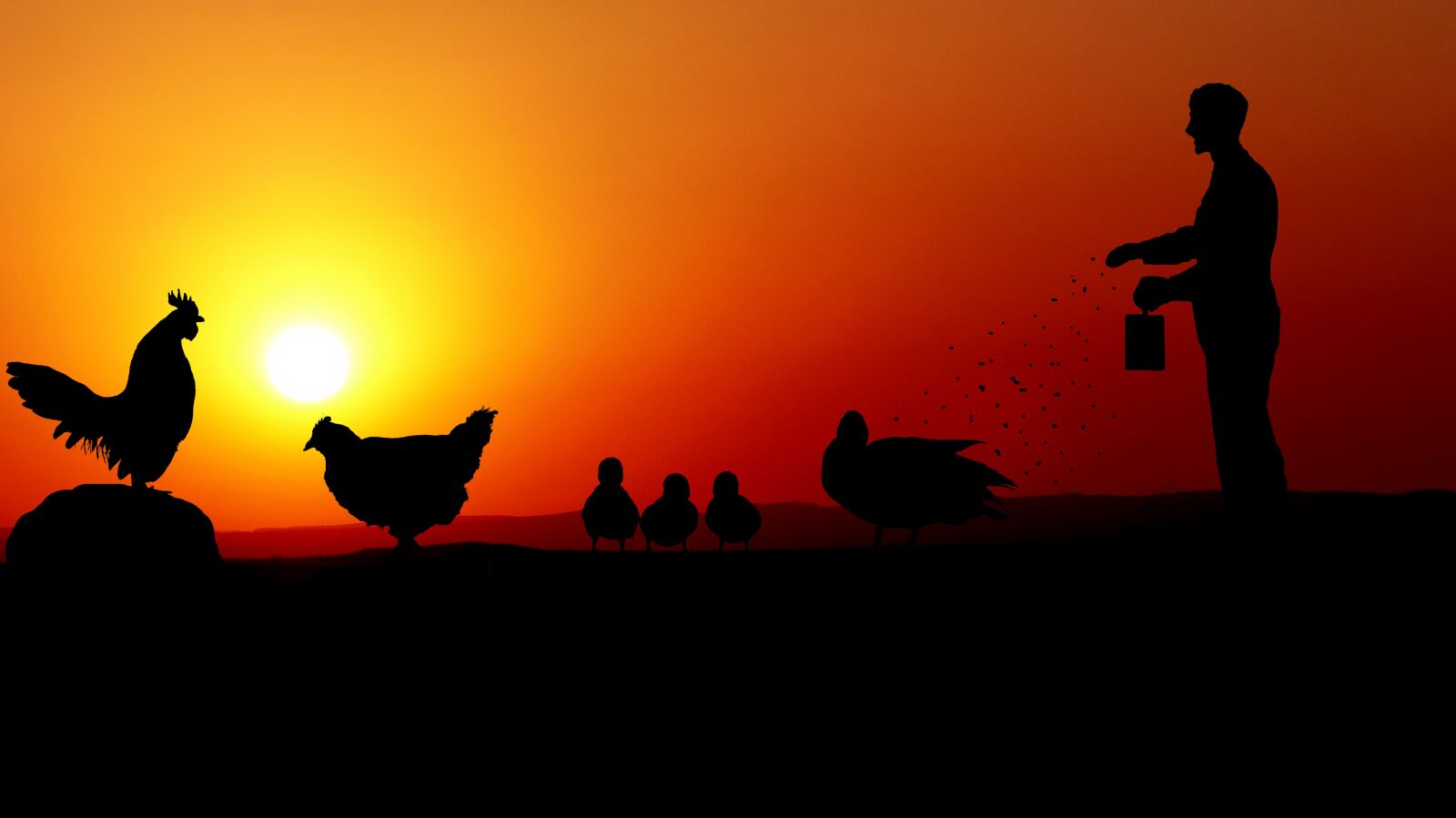 Panasonic Lumix DMC-FZ200 sample photo. Sunset, animals, farm photography