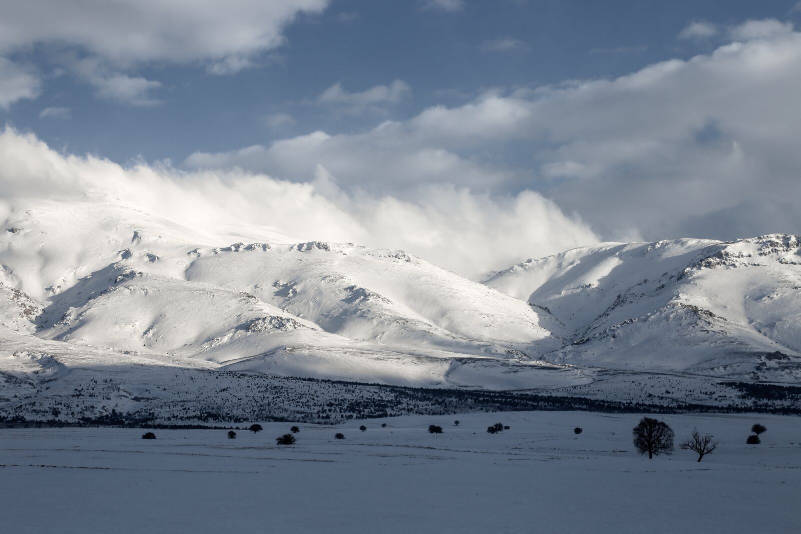 Canon EOS 6D + Canon EF 24-105mm F4L IS USM sample photo. Snow, winter, cold photography