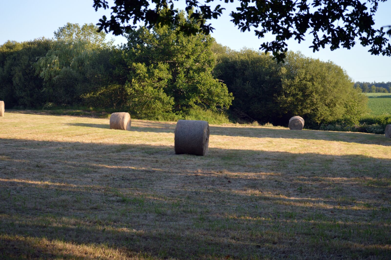 Nikon D3200 sample photo. Roller, straw, harvest photography