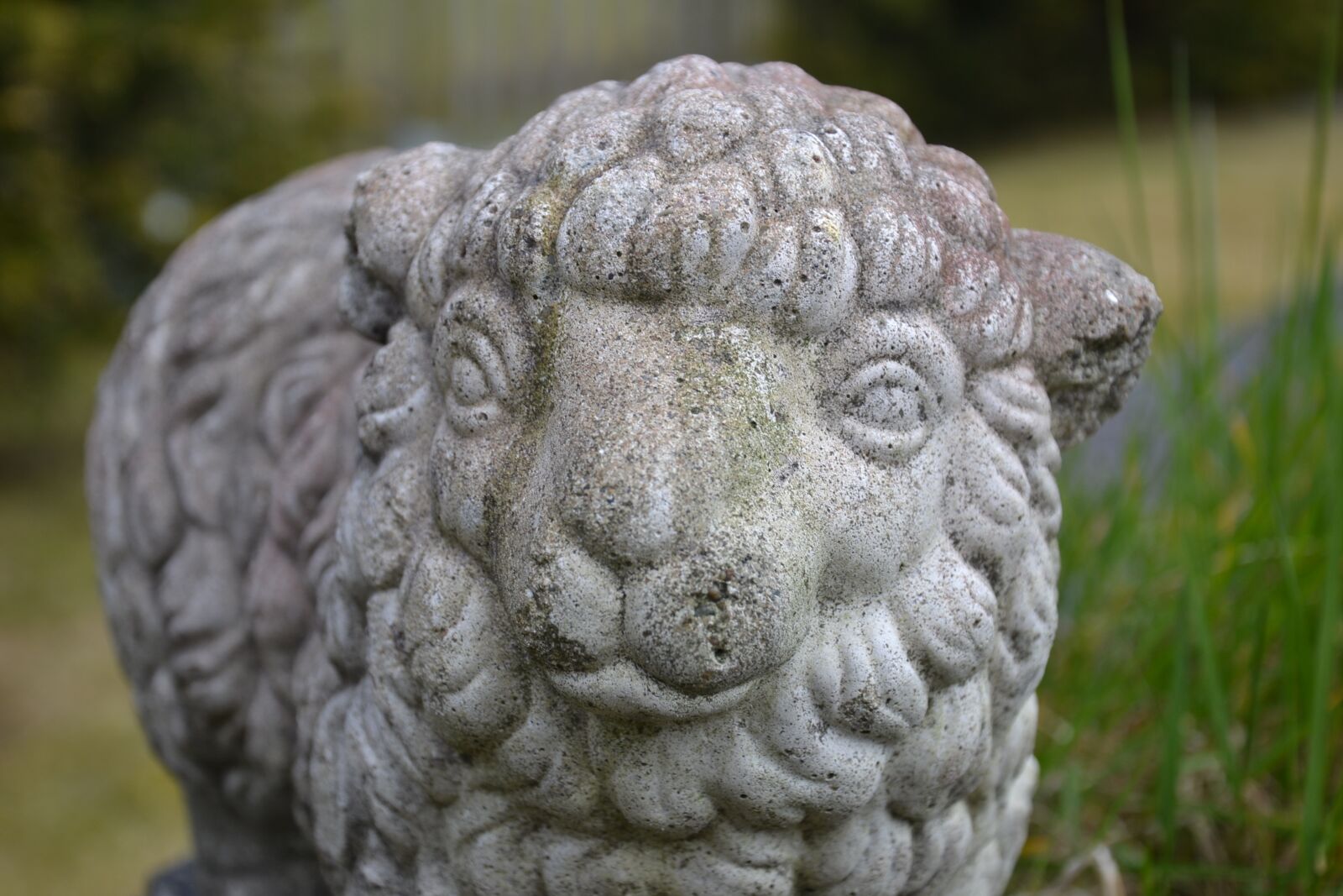 Nikon D3100 sample photo. Concrete, garden, lamb photography