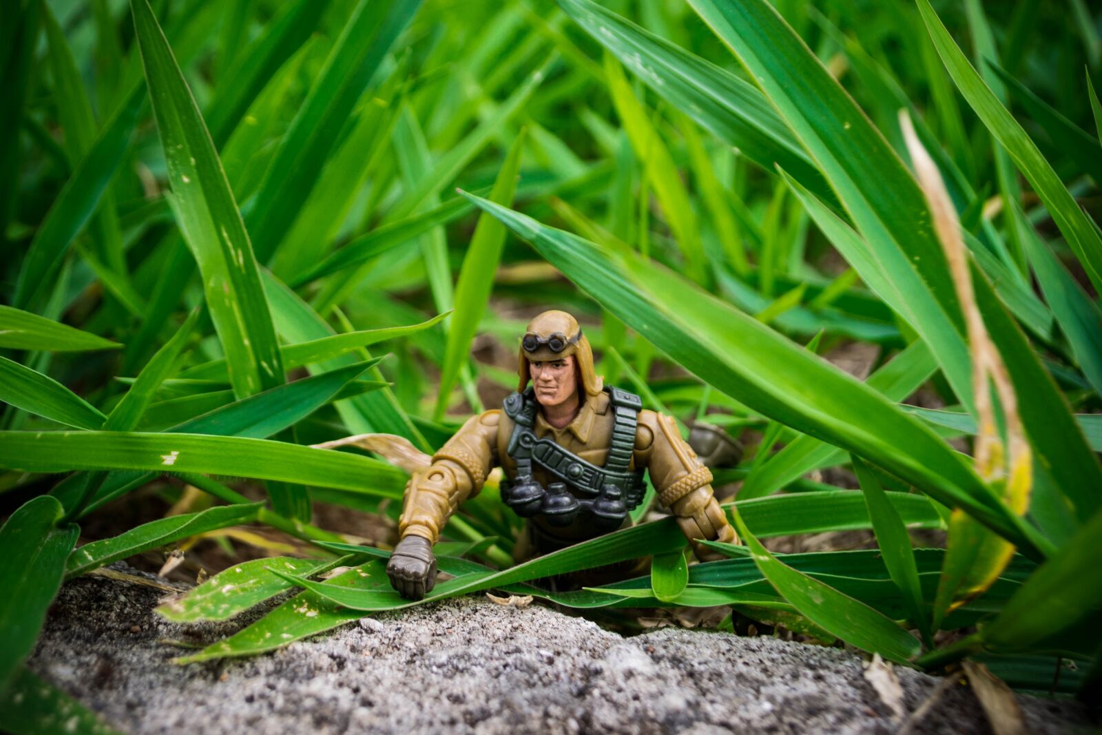 Nikon D3100 sample photo. Toy, joe, action figure photography