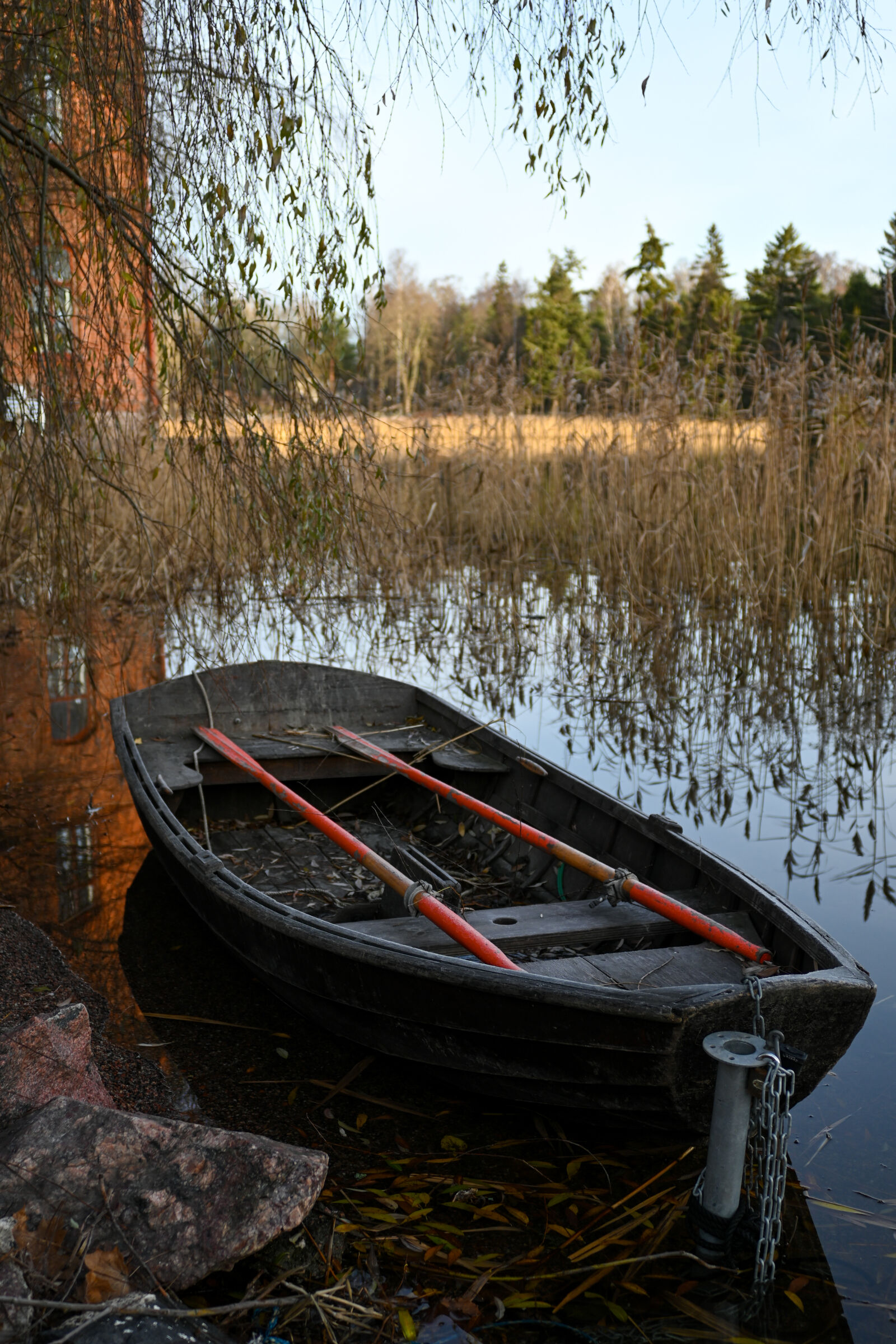 Nikon Z fc sample photo. Autumn boat photography