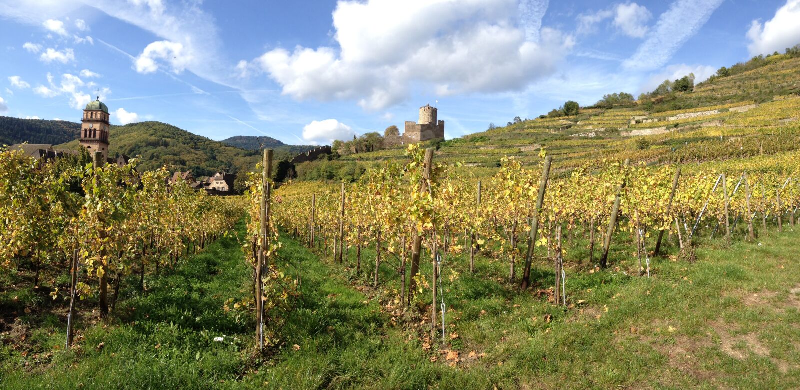 Apple iPhone 4S sample photo. Alsace, vineyard, france photography