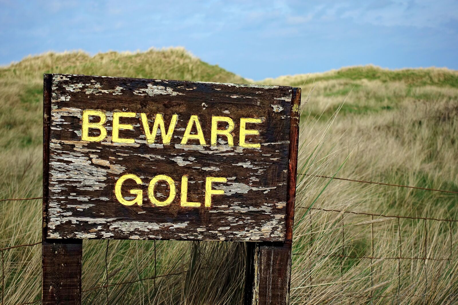 Sony DSC-RX100M5 sample photo. Golf, beware, danger photography