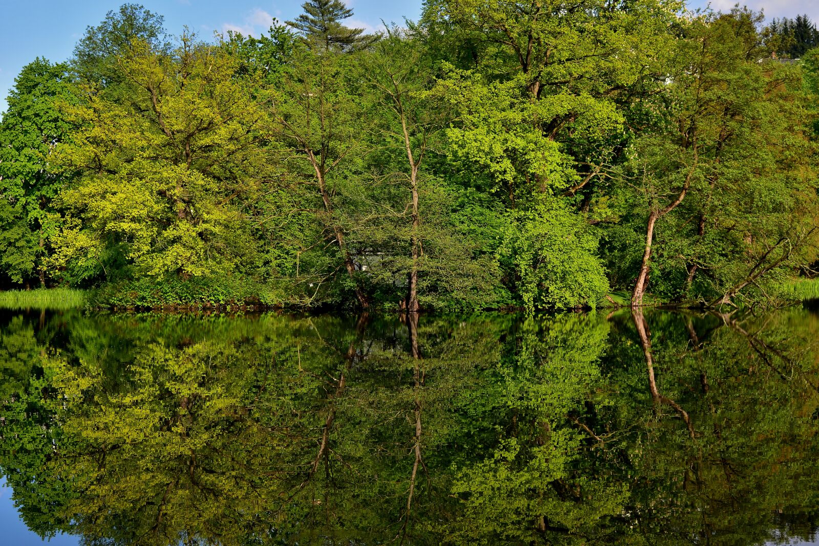 Nikon D5200 sample photo. Park, lake, mirroring photography