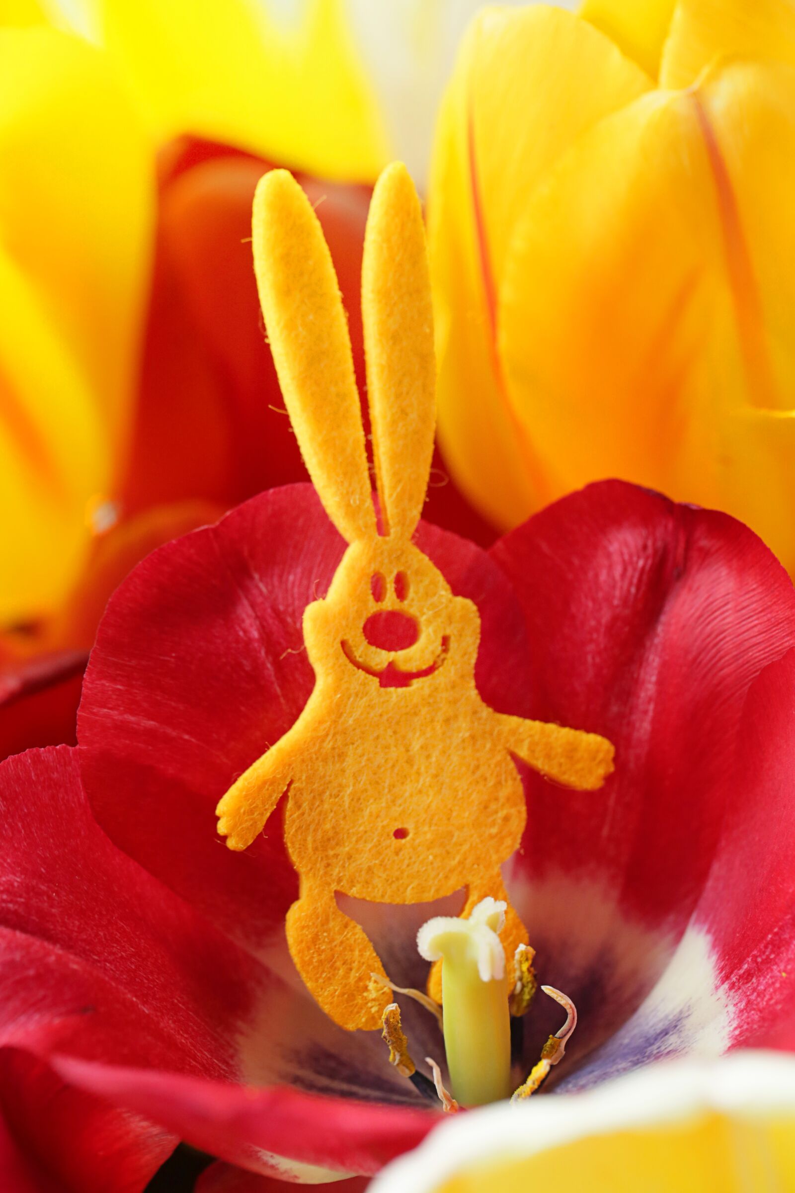 Canon EF 100mm F2.8L Macro IS USM sample photo. Easter, rabbit, hare photography