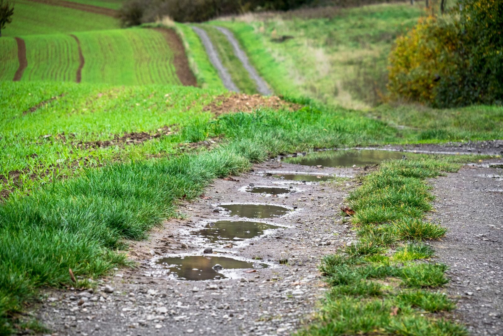 Canon PowerShot G3 X sample photo. Away, puddle, lane photography