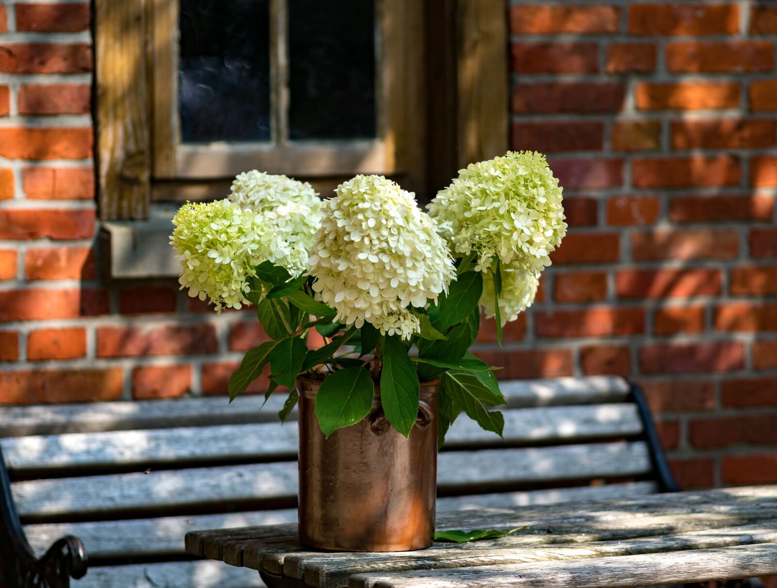 Olympus M.Zuiko Digital ED 75mm F1.8 sample photo. Flowers, table, decoration photography
