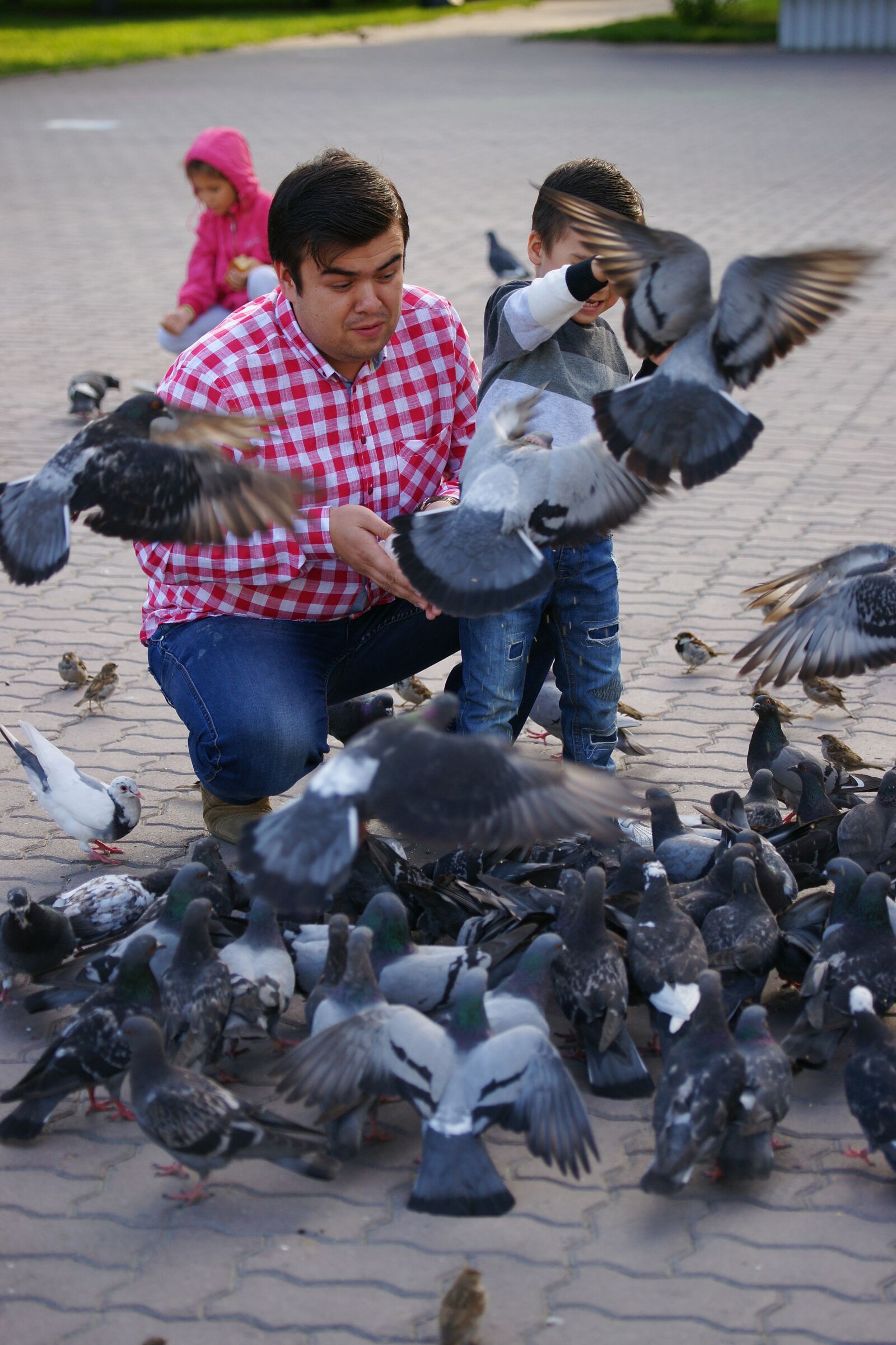 Sony Alpha DSLR-A850 sample photo. Man, pigeons, photos photography