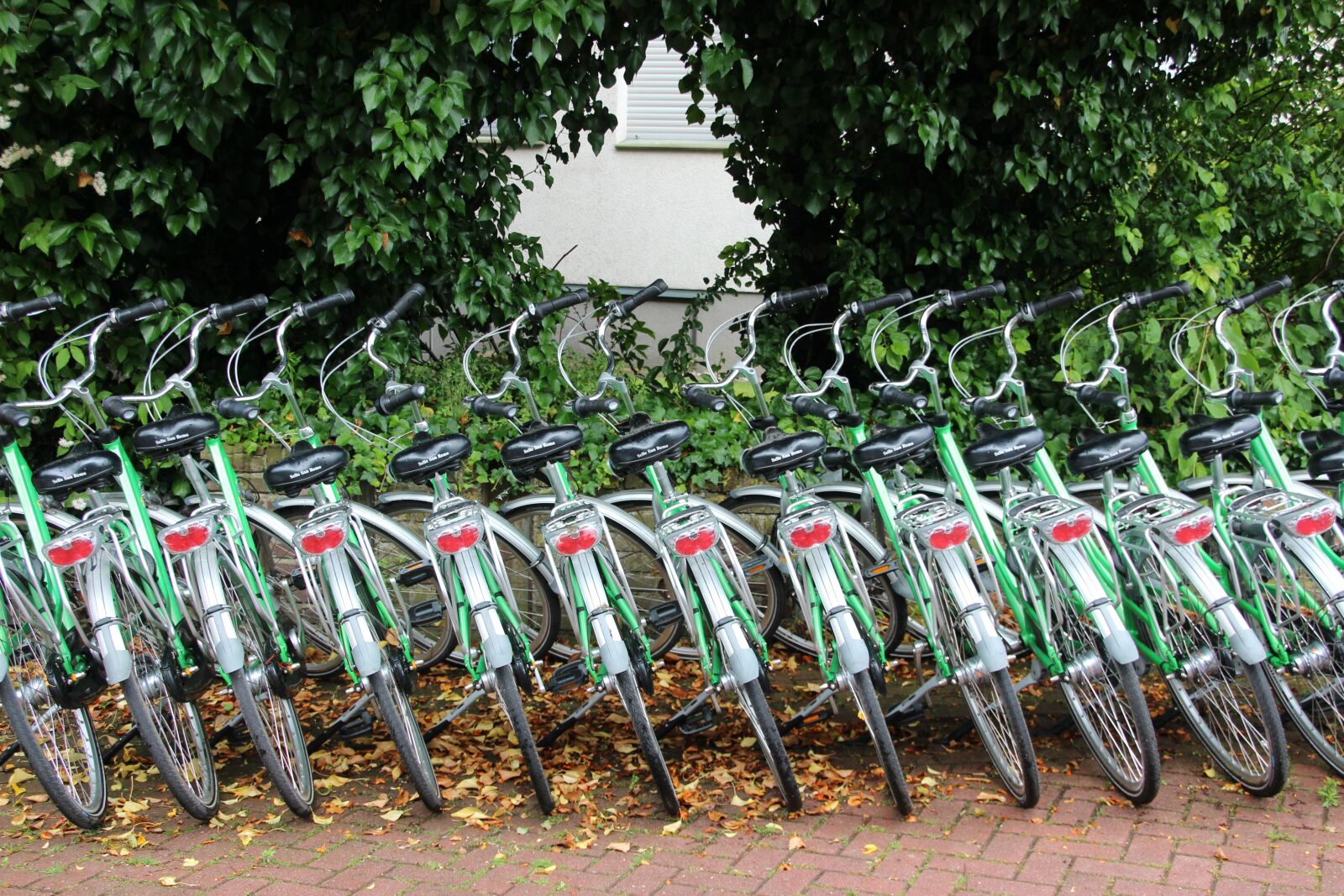 Canon EOS 600D (Rebel EOS T3i / EOS Kiss X5) sample photo. Bike, bicycle rental, cycling photography