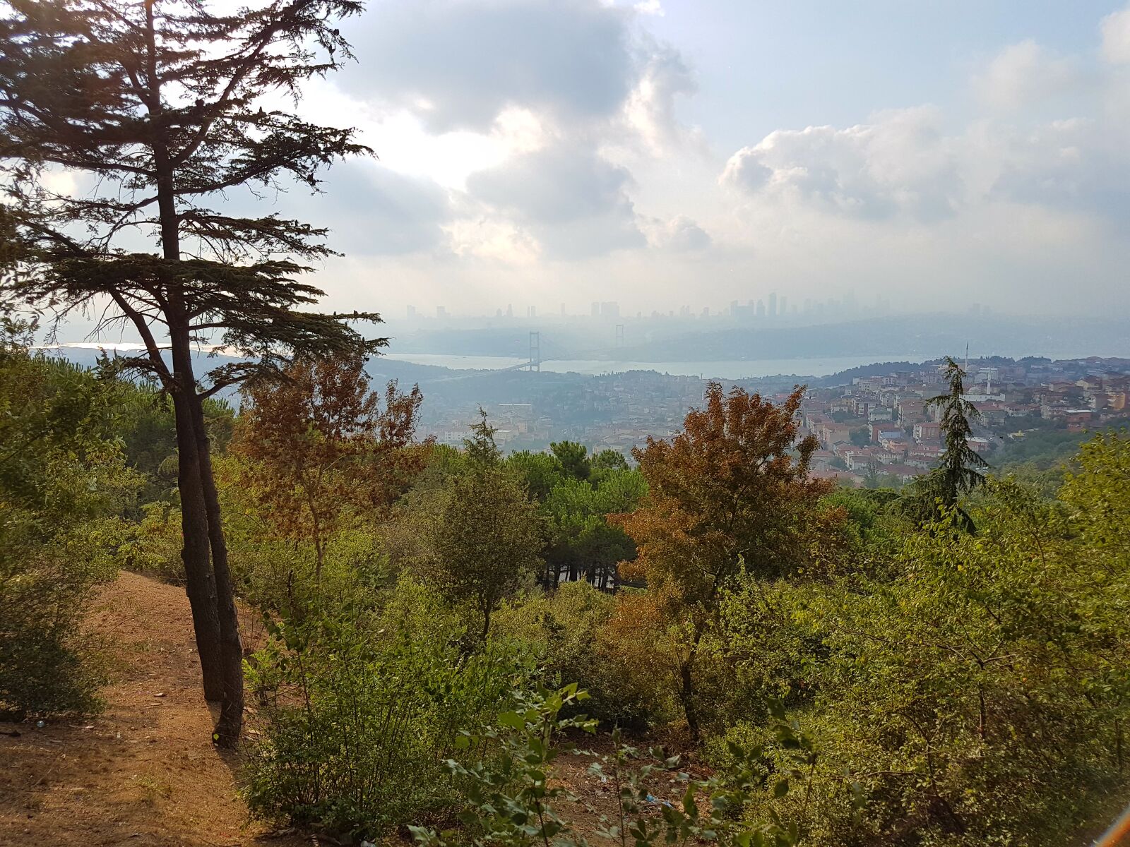 Samsung Galaxy S7 Edge sample photo