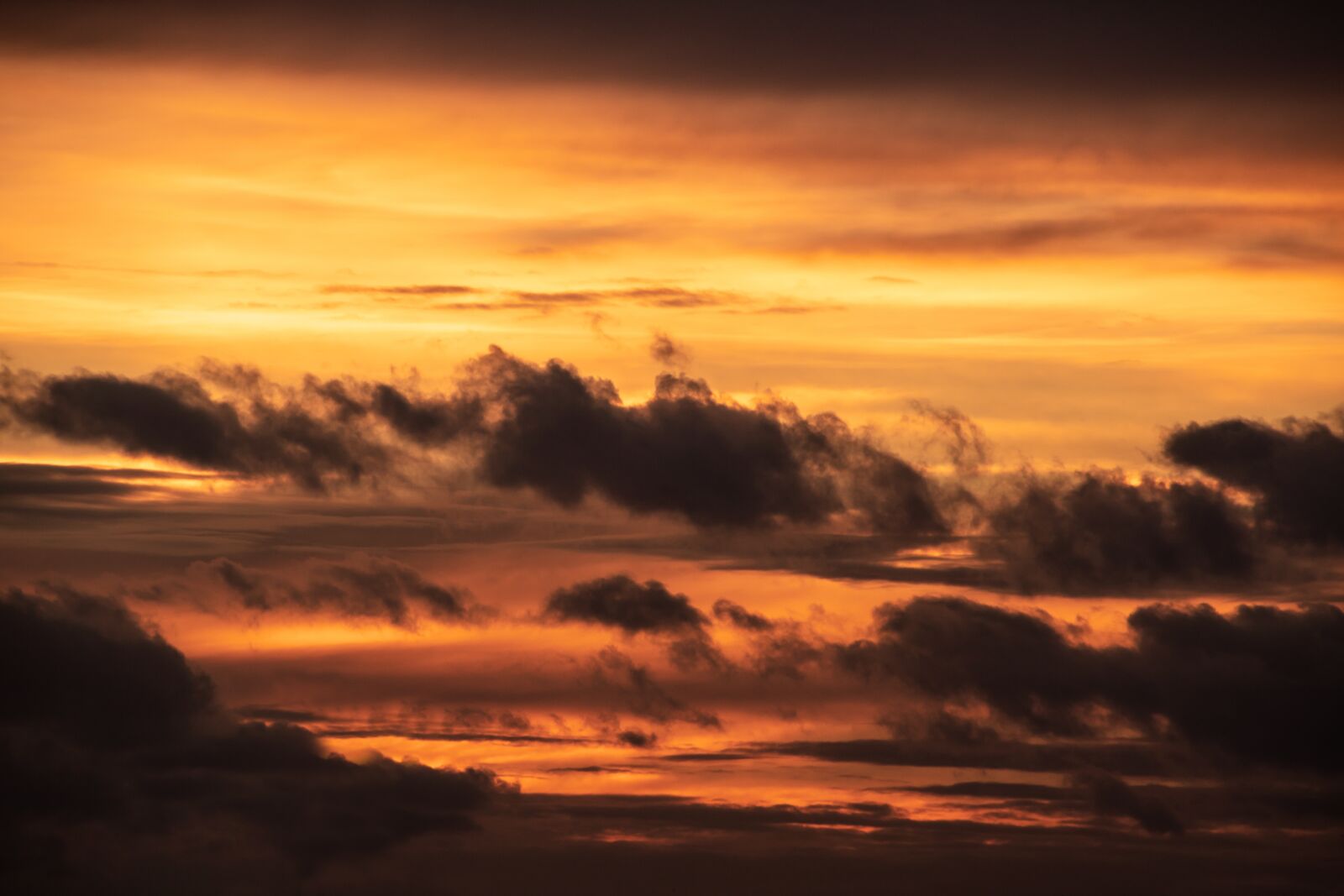 Canon EOS 750D (EOS Rebel T6i / EOS Kiss X8i) sample photo. Setting sun, sunset, sky photography