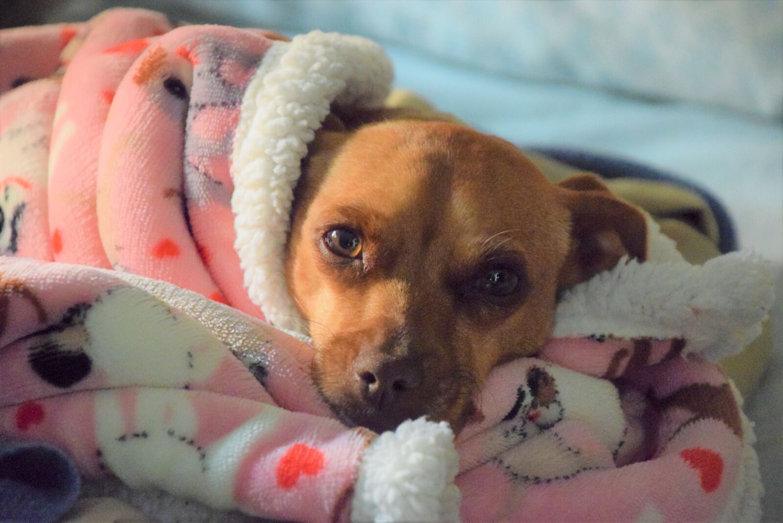 Nikon D3300 sample photo. Cute, adorable, friend photography
