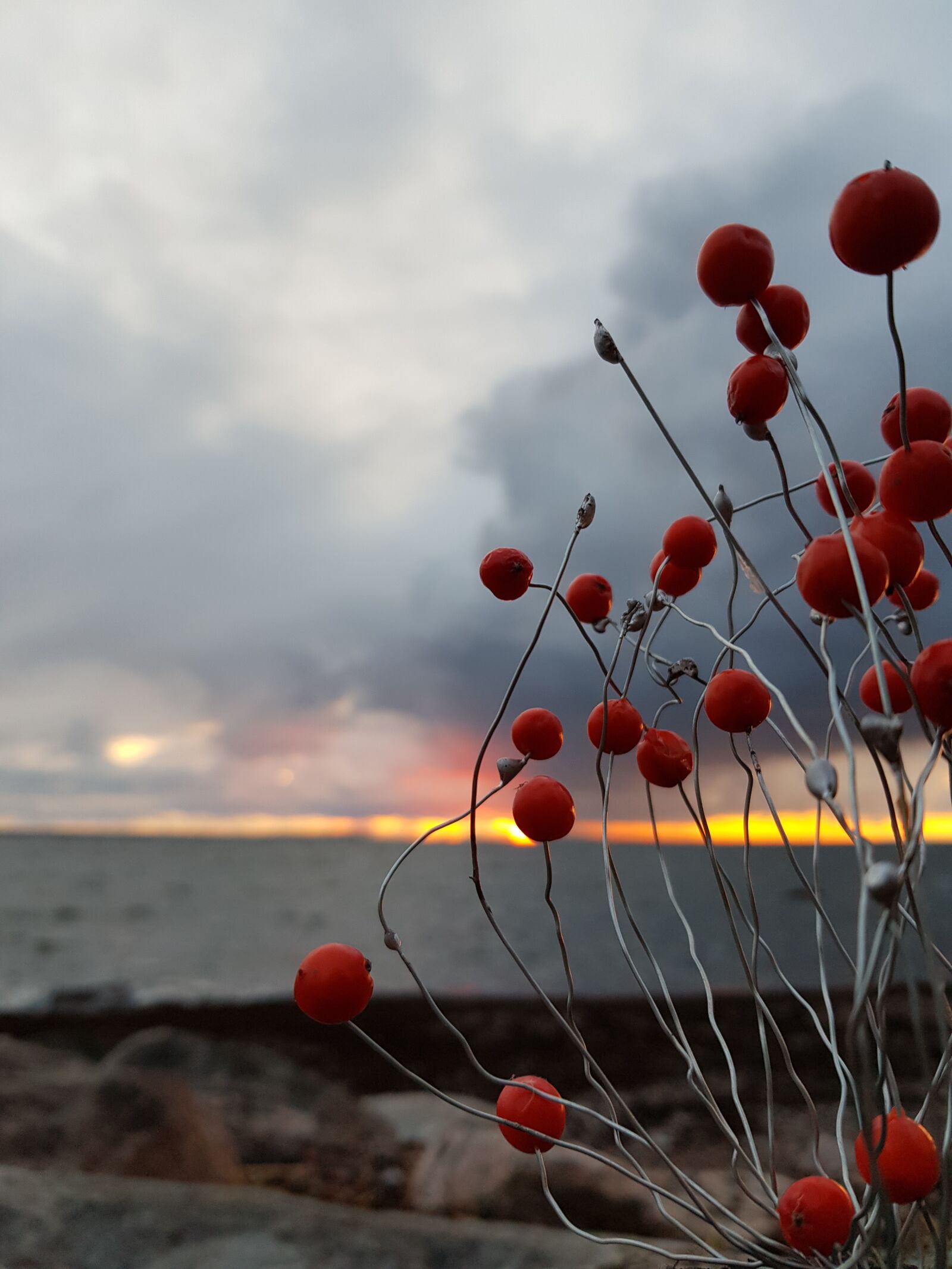 Samsung Galaxy S8 sample photo. Rowan, sunset, sea photography