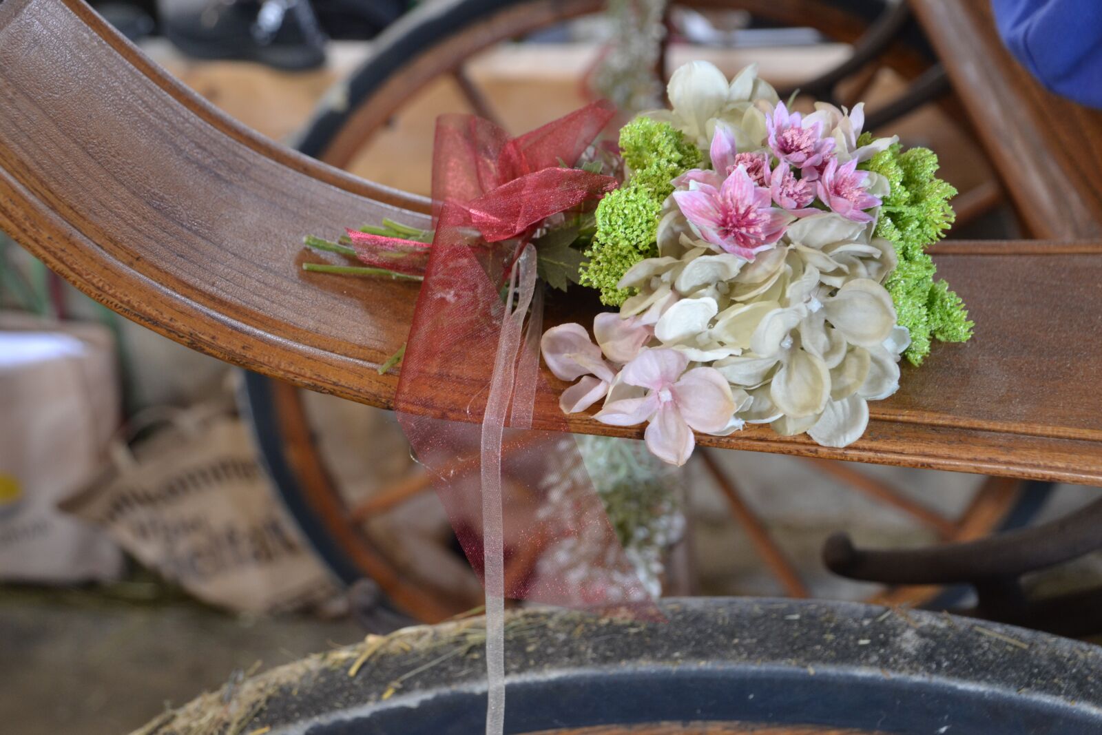Nikon D3100 sample photo. Coach, horse drawn carriage photography