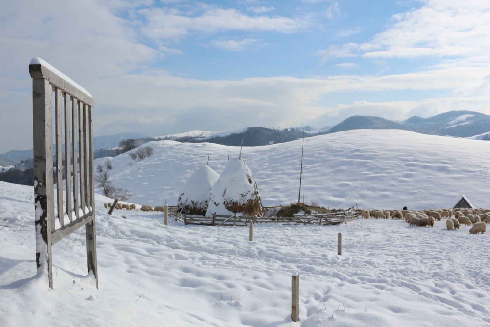 Canon EOS 650D (EOS Rebel T4i / EOS Kiss X6i) sample photo. Winter, mountain, ski photography