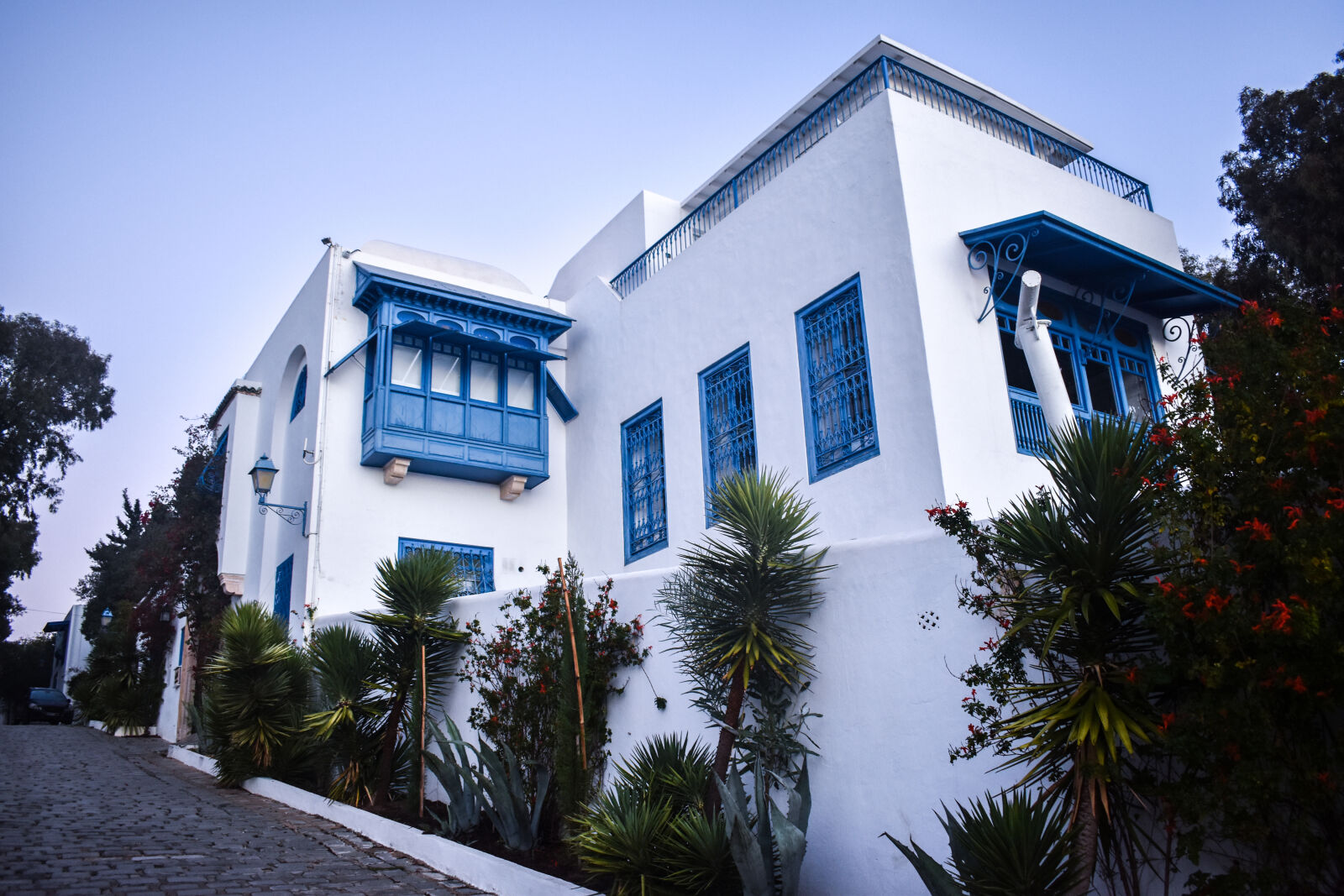 Nikon D5500 sample photo. Blue, blue, hour, sidi photography