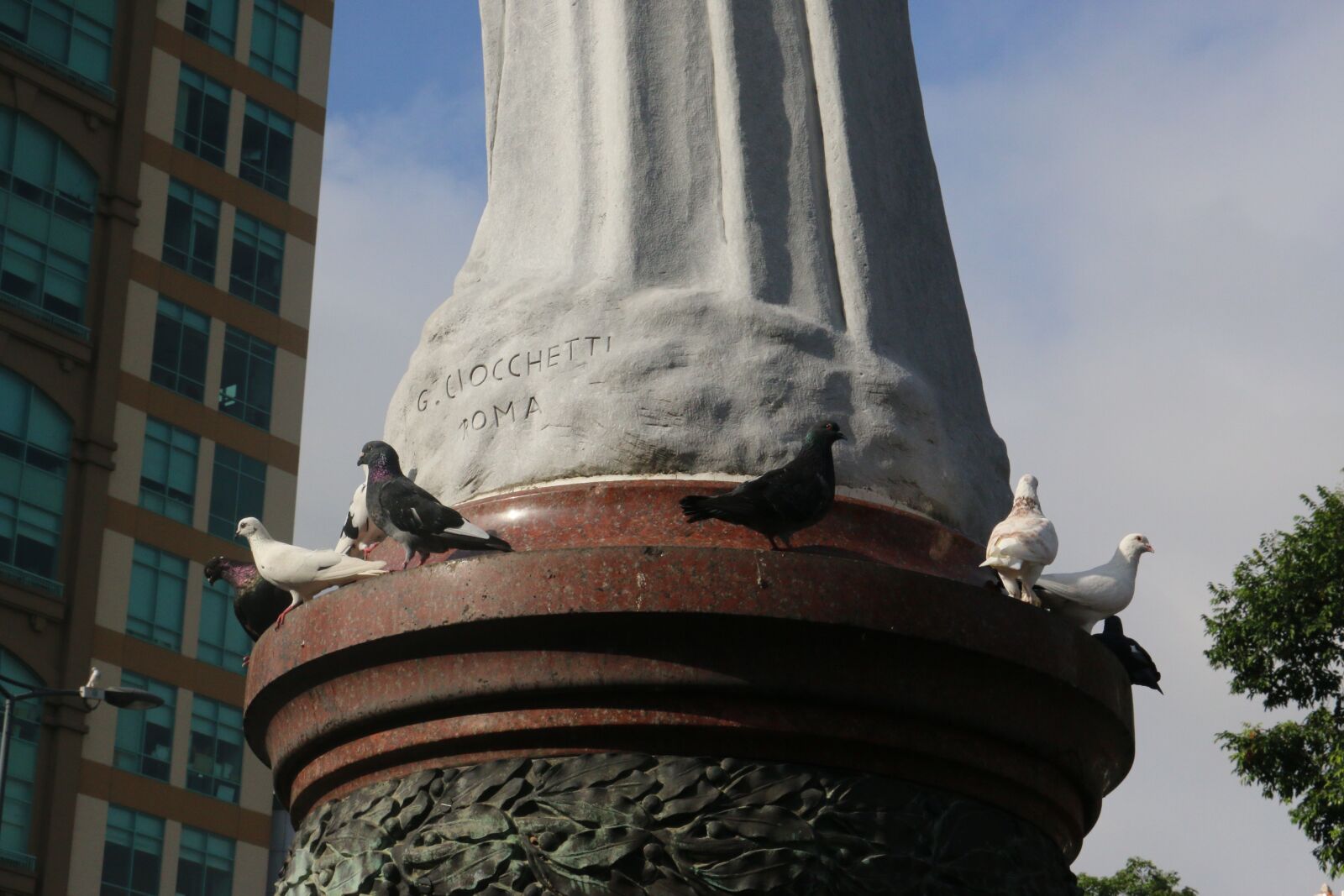 Canon EOS 70D + Canon EF-S 18-55mm F3.5-5.6 IS STM sample photo. Birds, streets, houses photography