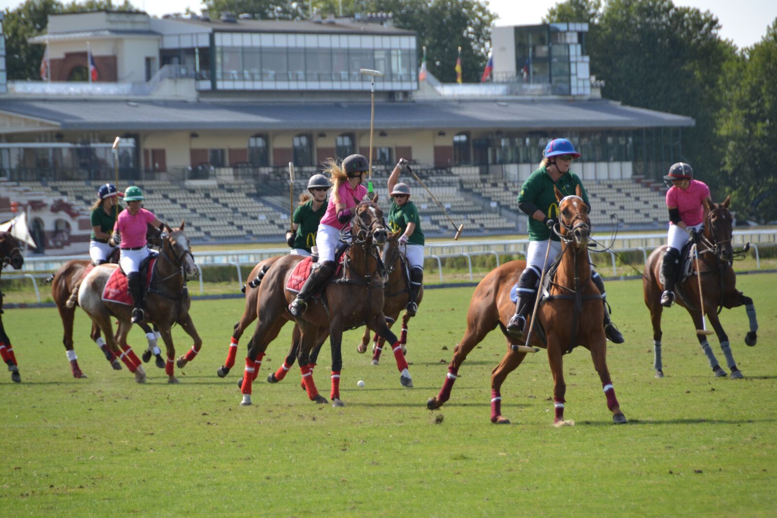 Nikon D3100 sample photo. Sport, horse, competition photography