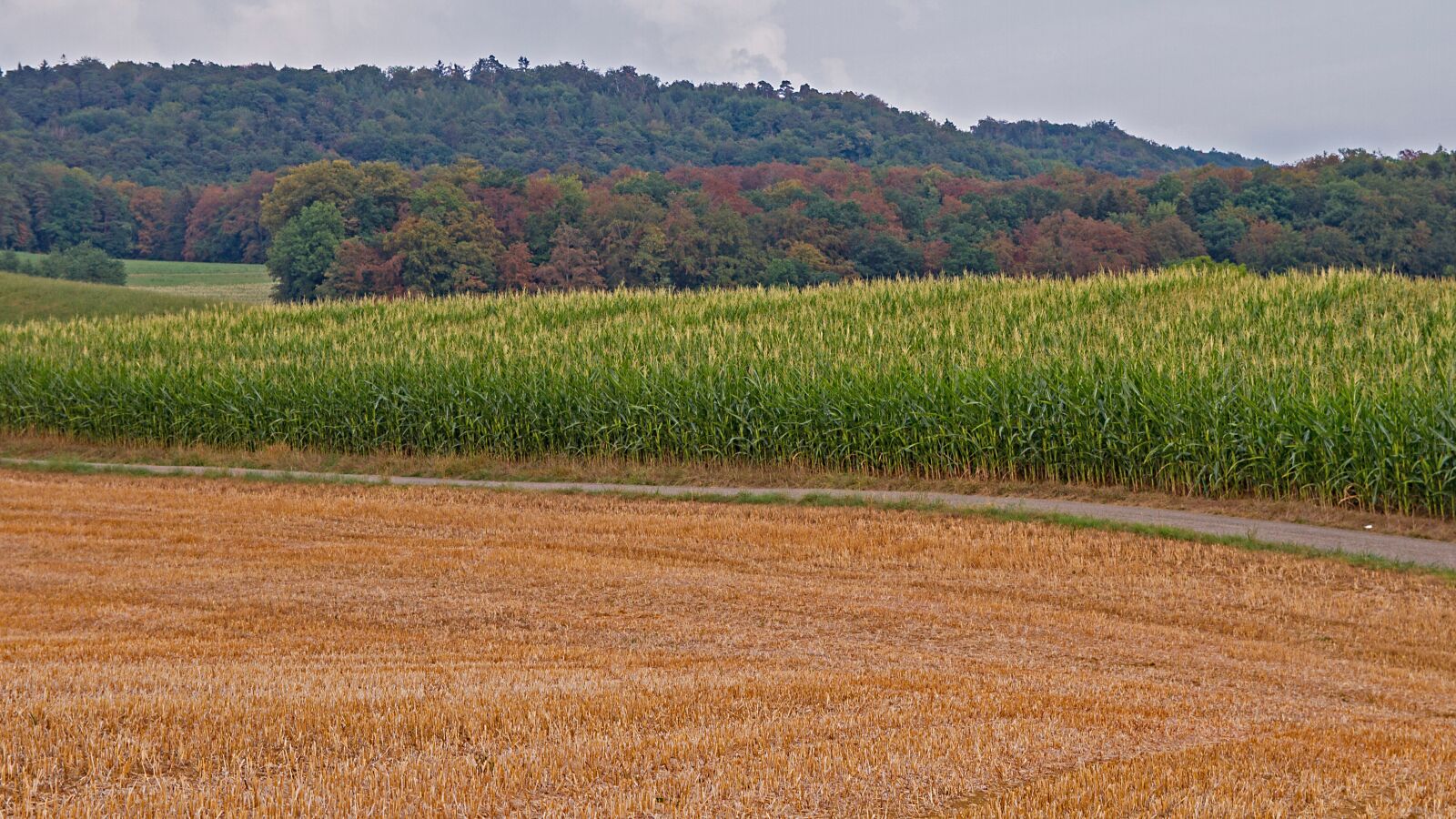 Canon EOS 7D sample photo. Drought, book, heat photography