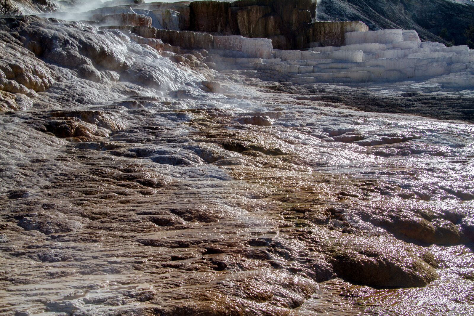 Canon EOS 7D sample photo. Yellowstone national park, wyoming photography