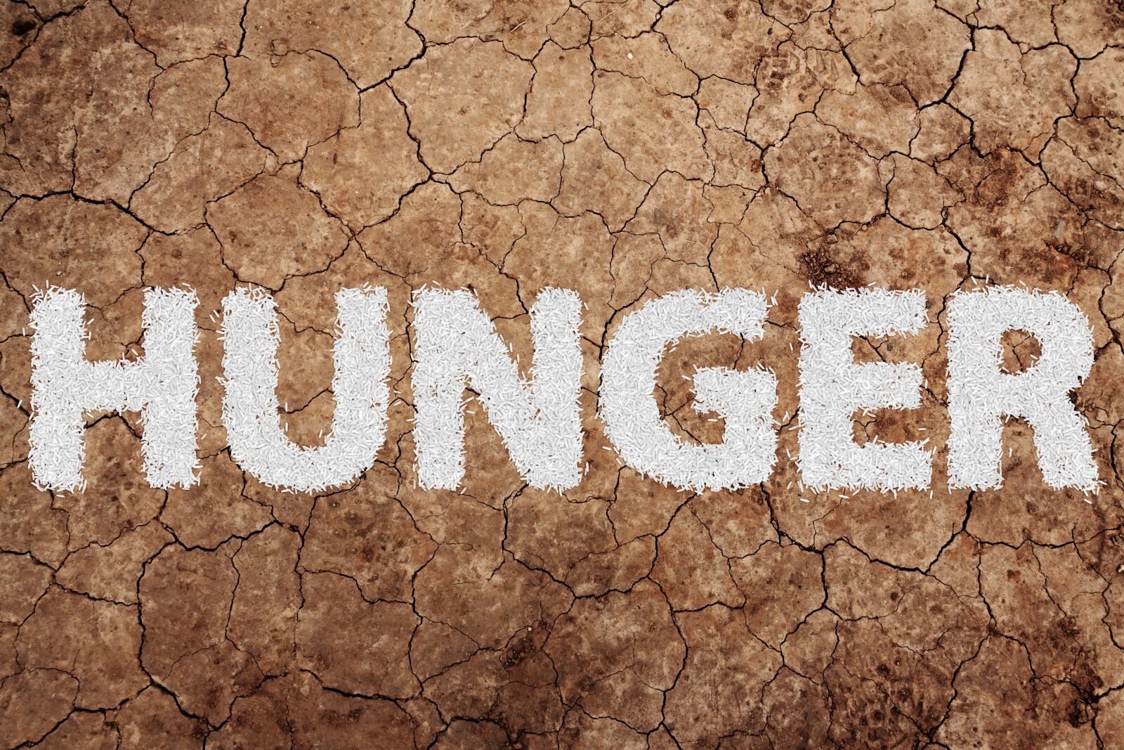 Canon EOS 5D Mark II sample photo. Hunger, food, nutrition photography