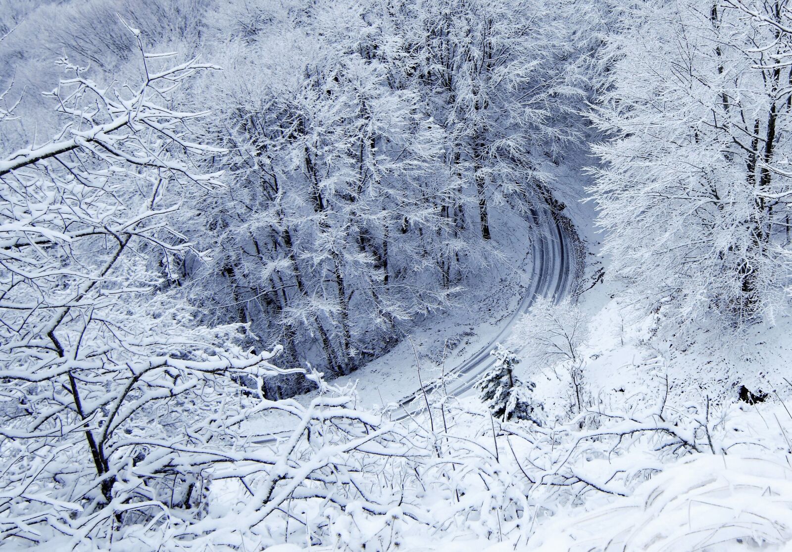 Nikon D5300 sample photo. Snow, winter, trees photography