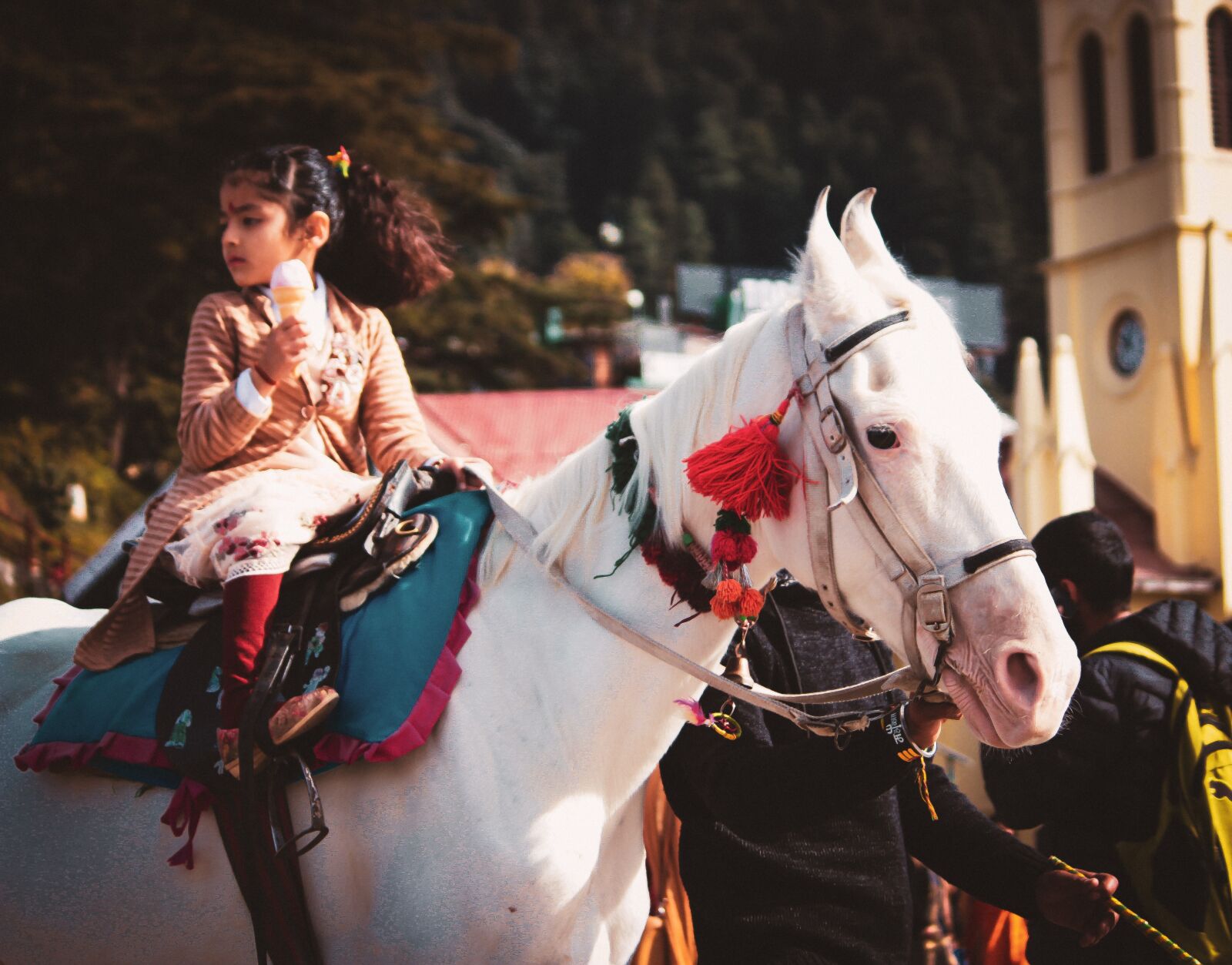 Canon EOS 700D (EOS Rebel T5i / EOS Kiss X7i) sample photo. Horse, white horse, nature photography