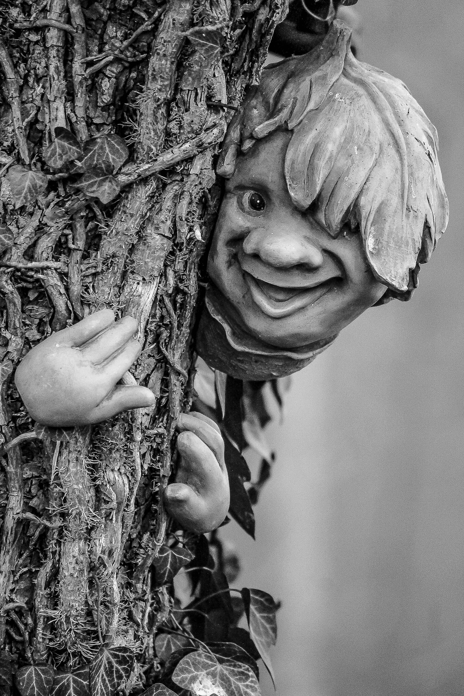 Canon EOS 1100D (EOS Rebel T3 / EOS Kiss X50) sample photo. Tree, dwarf, strange photography