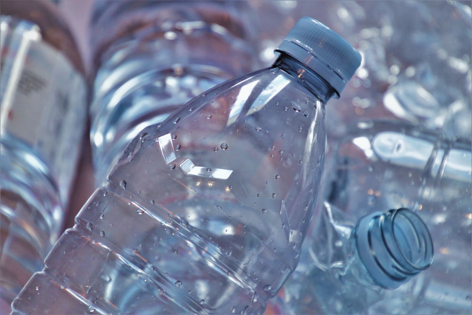 Canon EOS 80D sample photo. The bottle, plastic, by photography