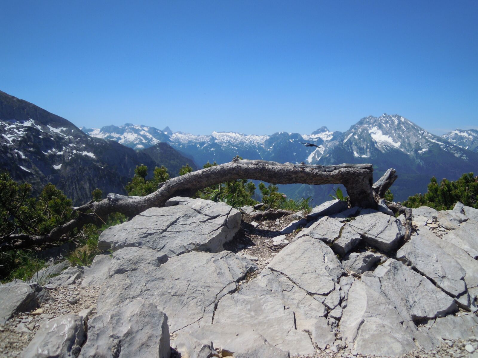 Nikon Coolpix S5100 sample photo. Alpine, stone, mountains photography