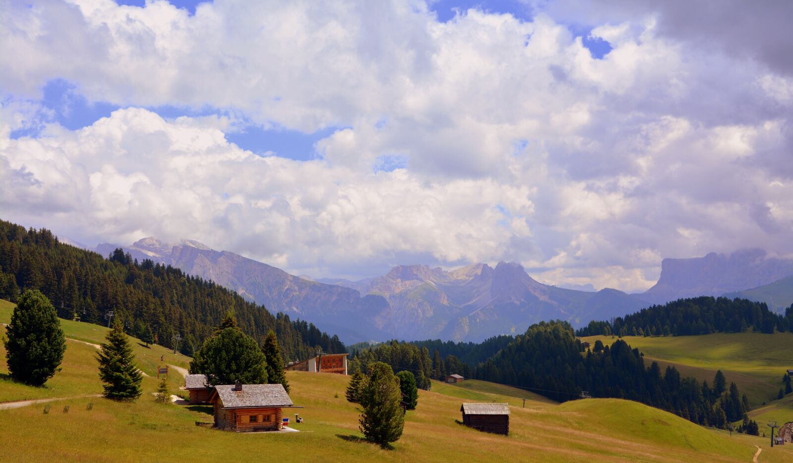 Nikon D7100 sample photo. Alm, prato, dolomites photography
