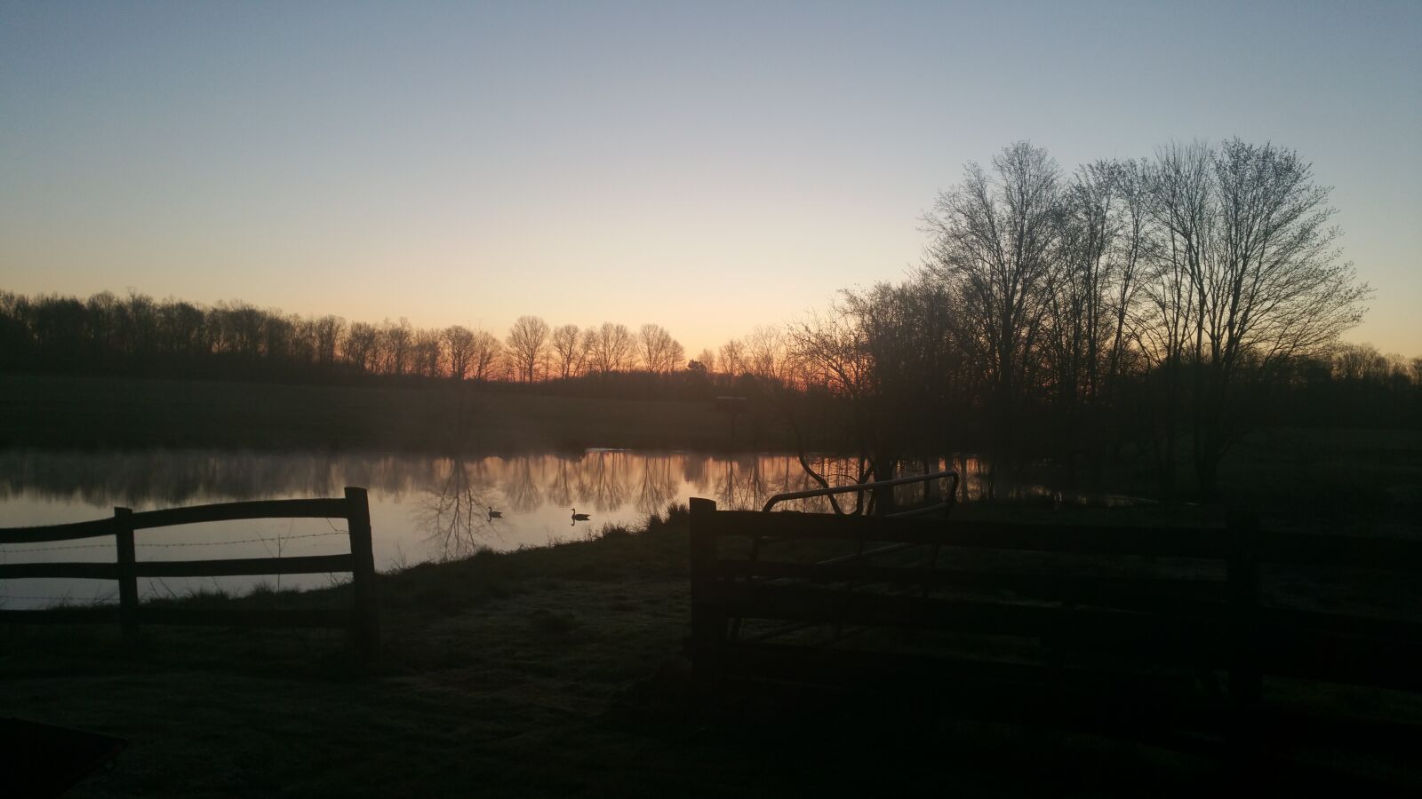 Samsung Galaxy Note4 sample photo. Ducks, farm, fence photography