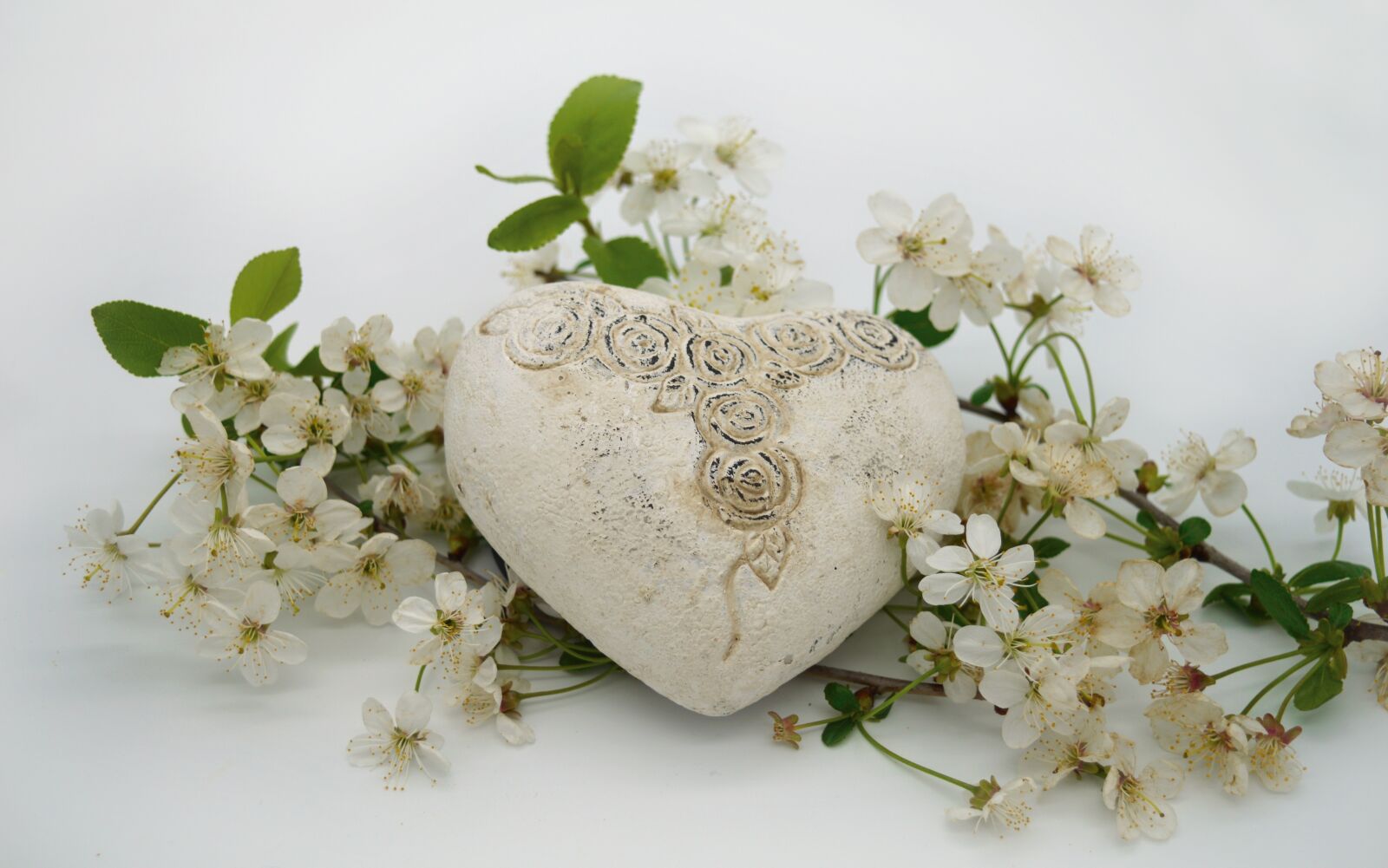 Nikon D3200 sample photo. Heart, cherry blossoms, mother's photography