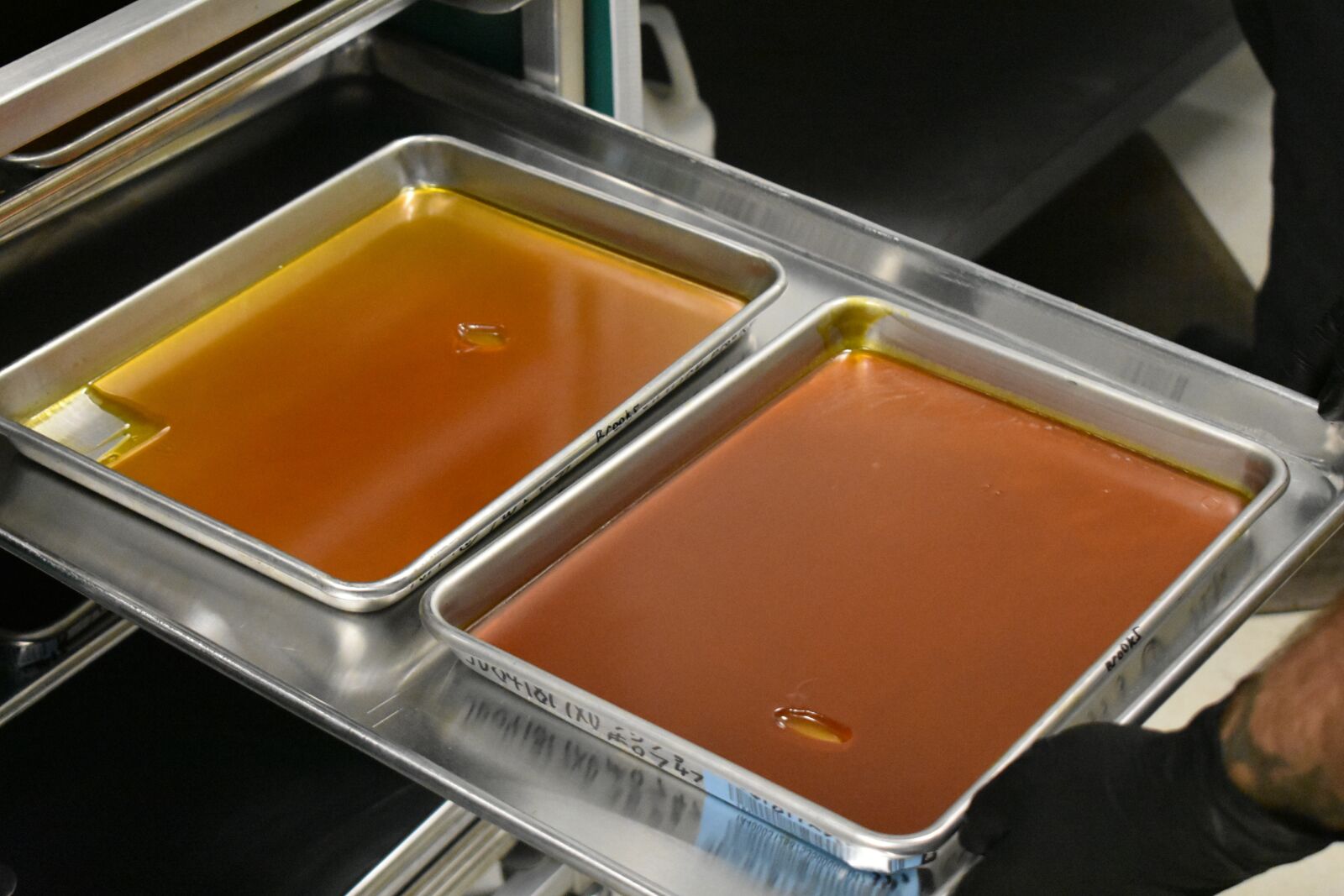 Nikon D3400 sample photo. Cannabis concentrate, dabs, marijuana photography