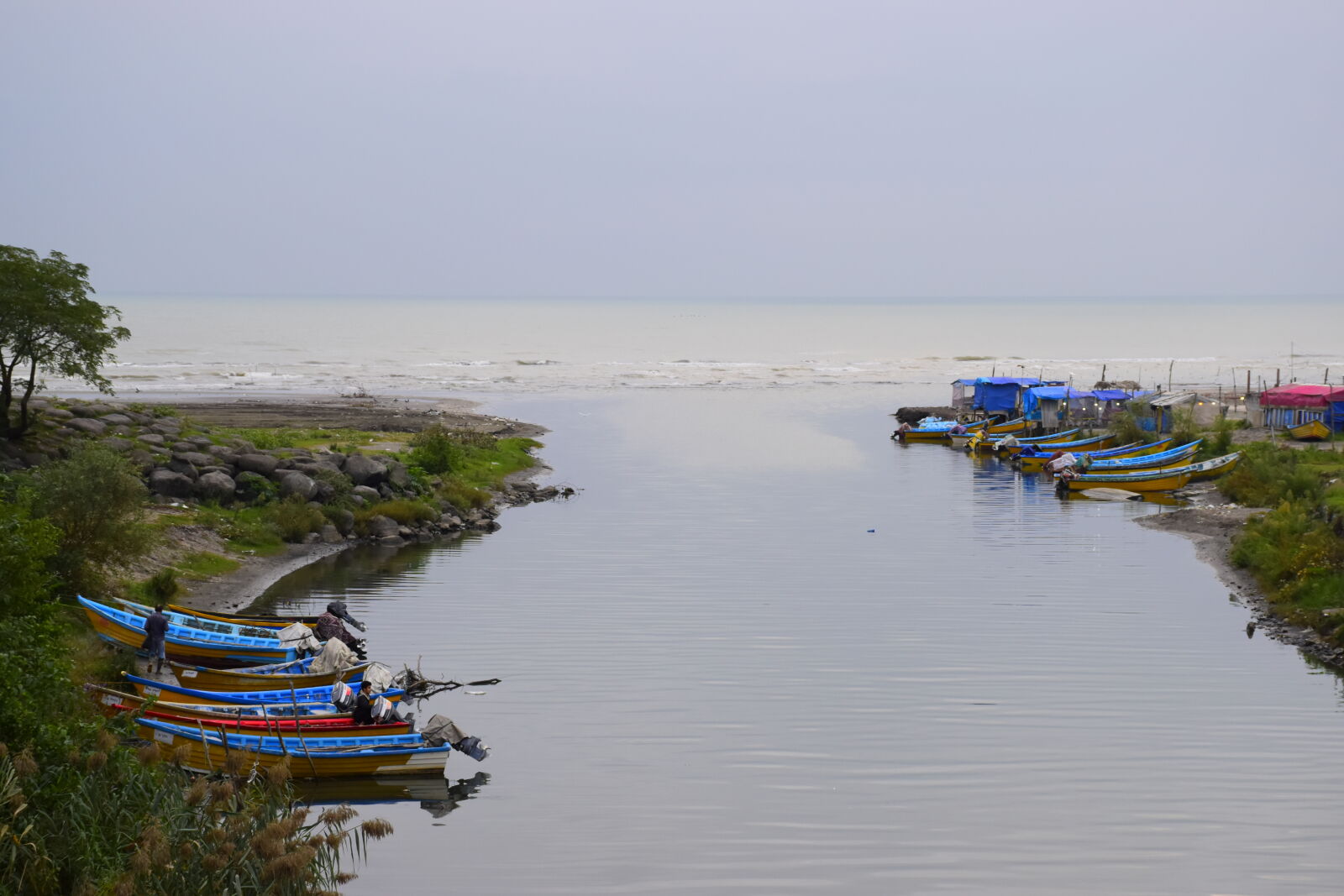 Nikon D5600 sample photo