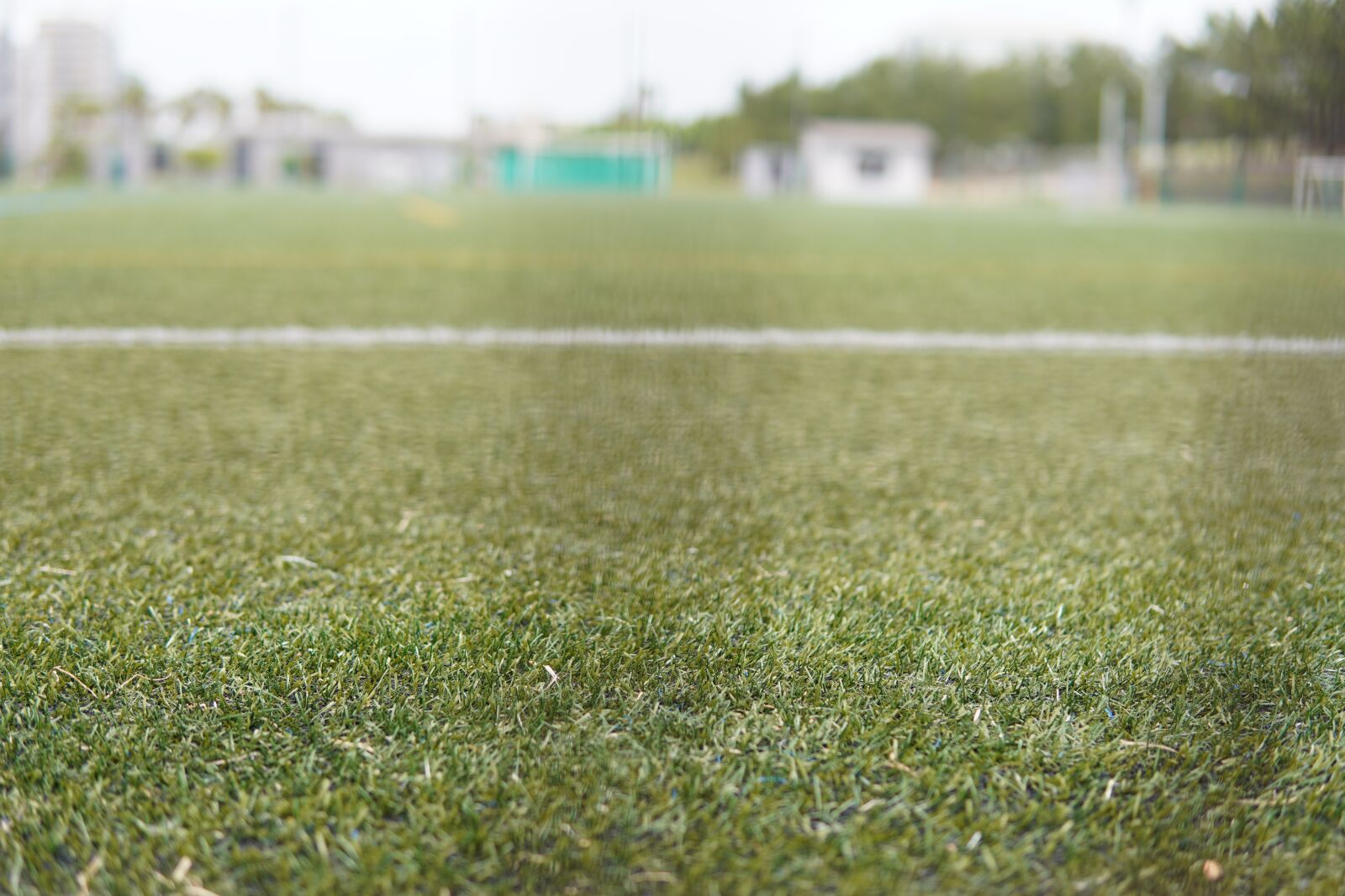 30mm F1.4 DC DN | Contemporary 016 sample photo. Shiba, football, artificial grass photography