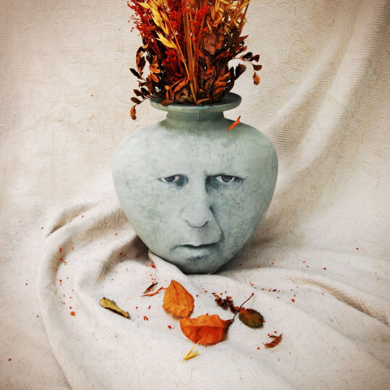 Nikon D200 sample photo. Vase, autumn, case photography
