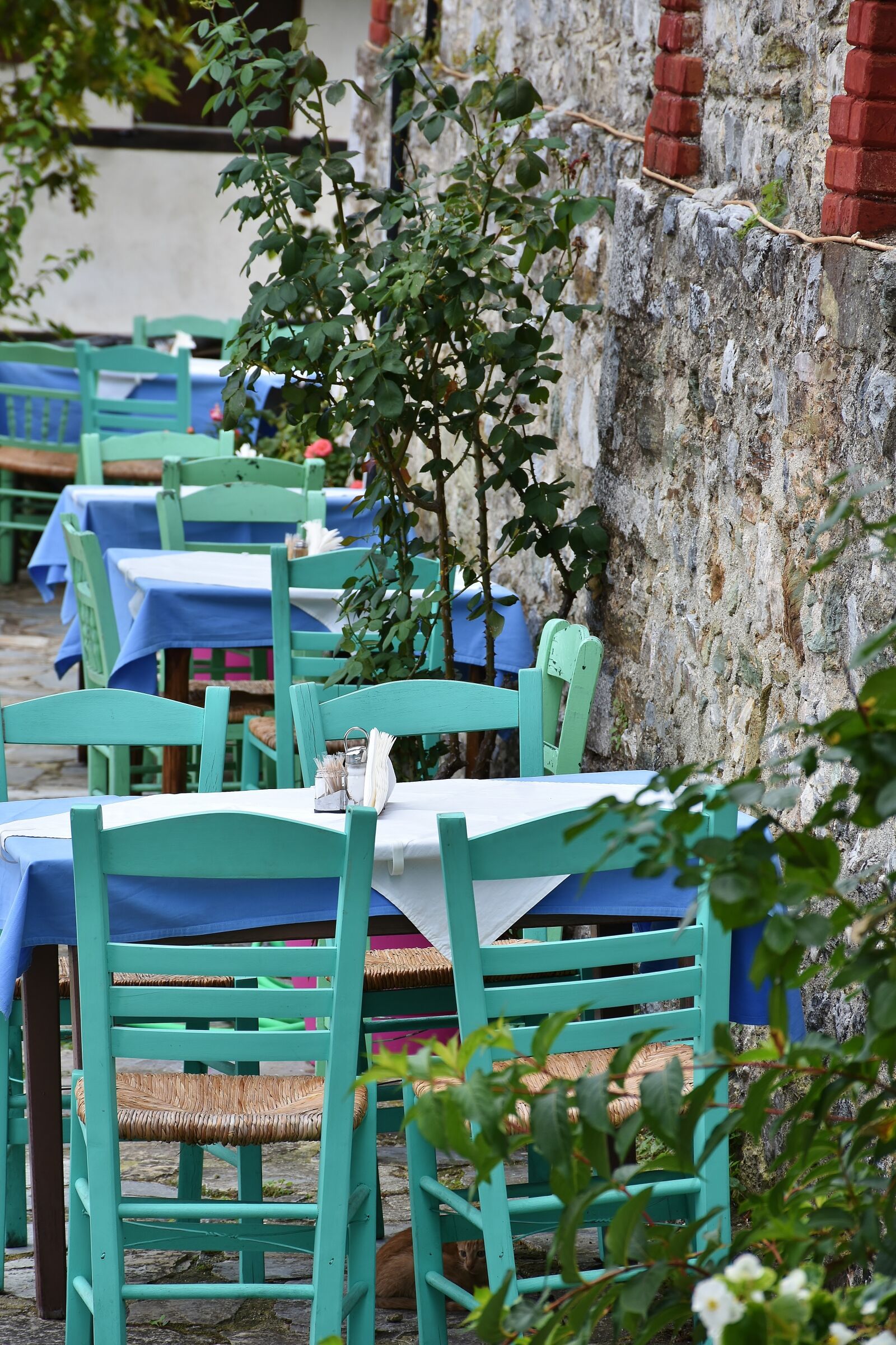 Nikon D7200 sample photo. Tavern, local, greece photography